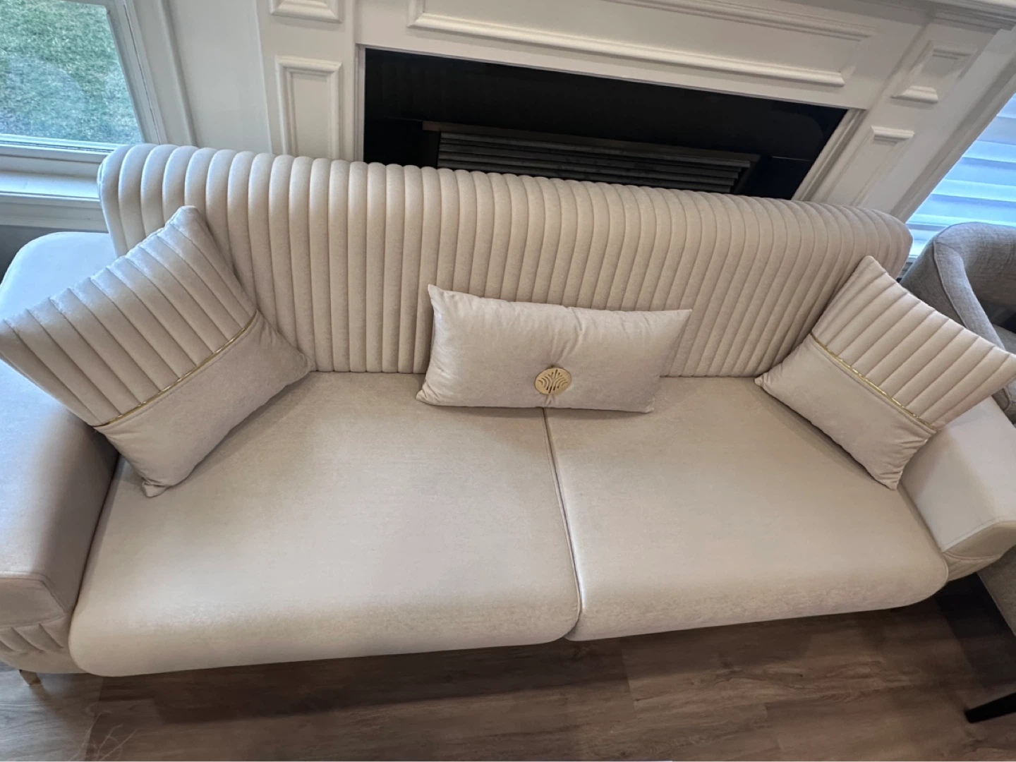Beige Velvet Sofas with Decorative Pillows