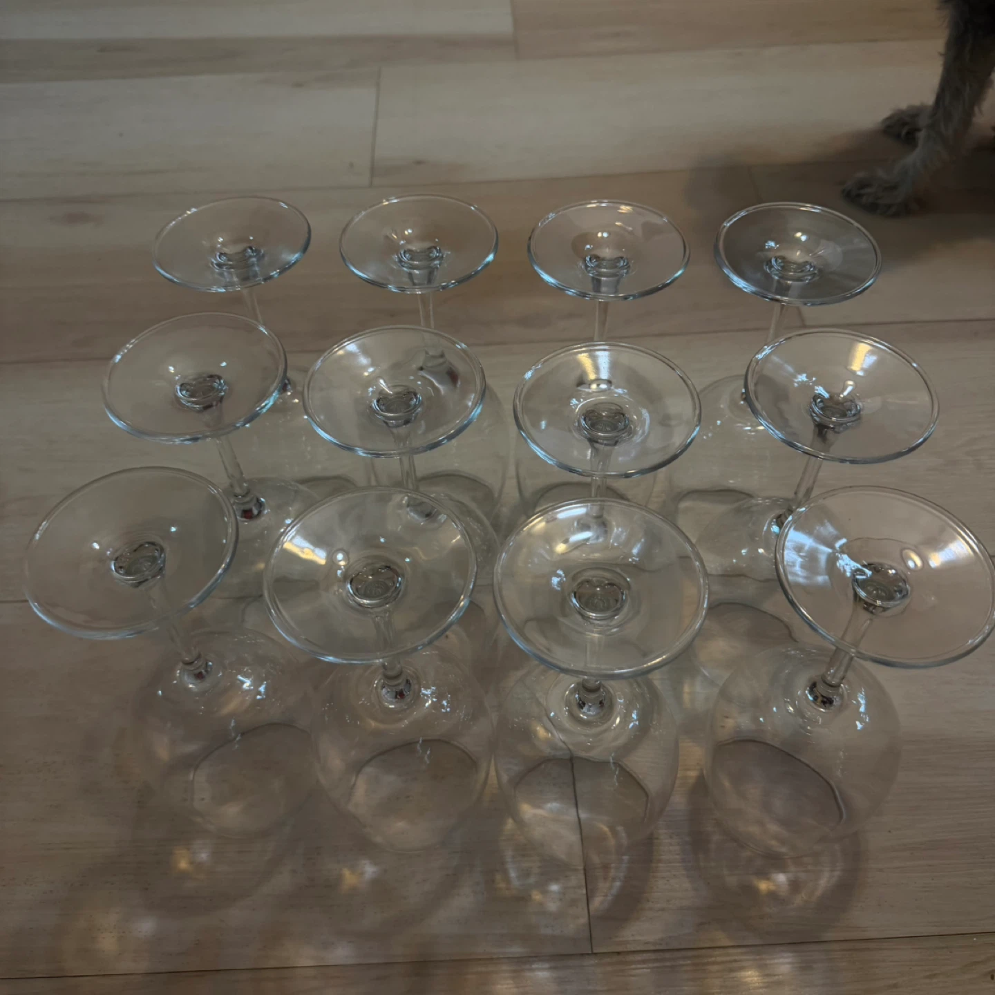 Set of 12 Clear Wine Glasses