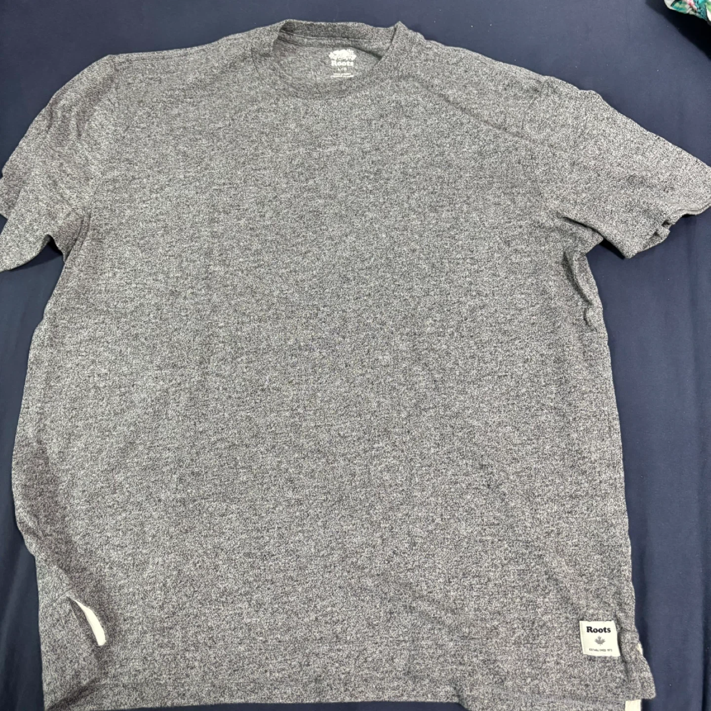 Roots Grey Heather T-Shirt