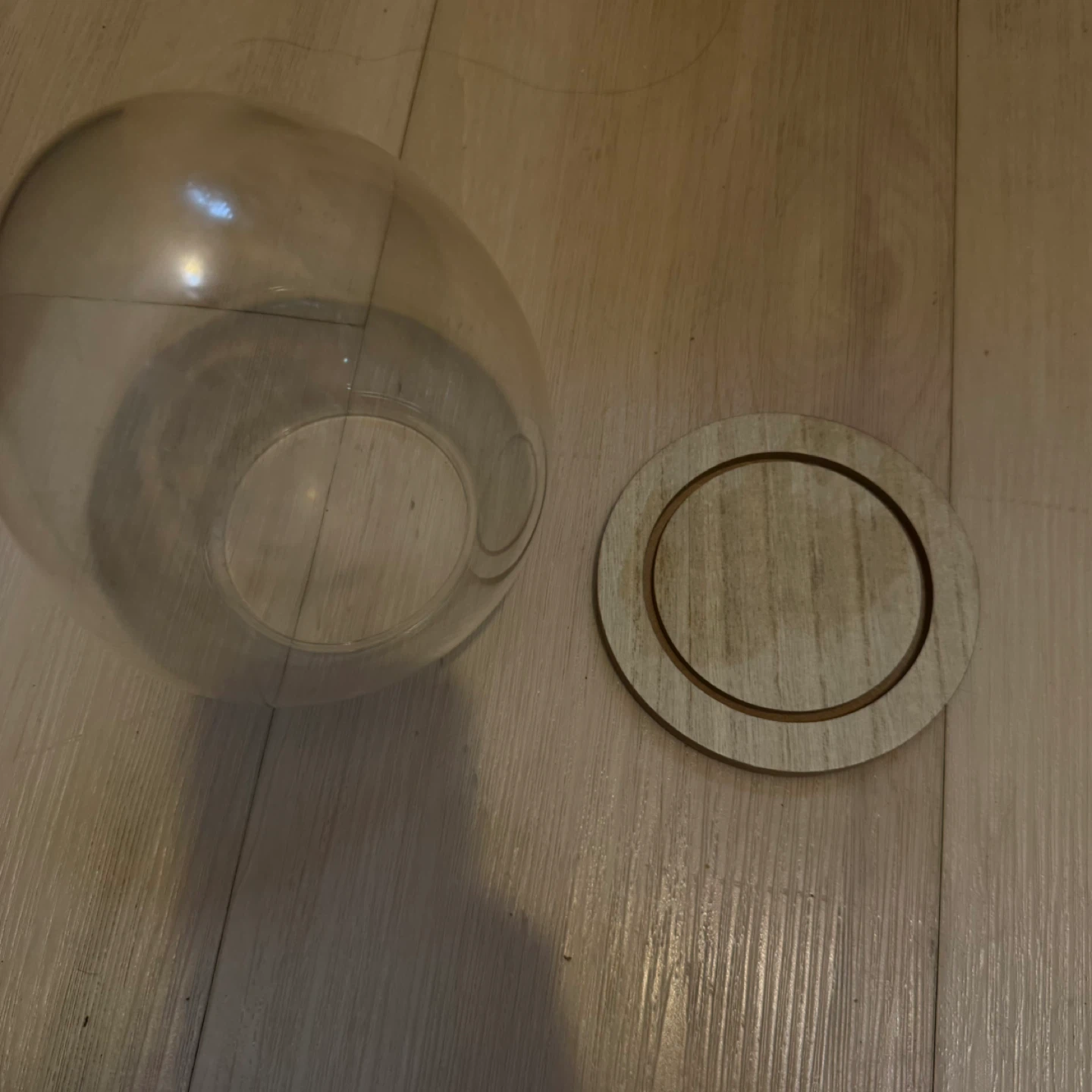 Glass Cloche Dome with Wood Base