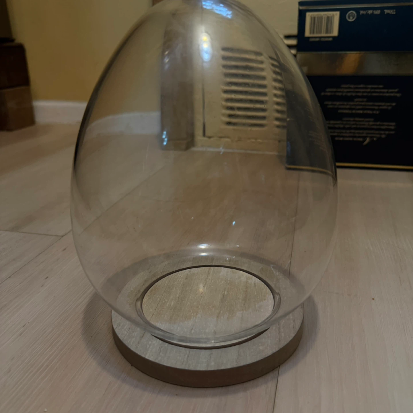 Glass Cloche Dome with Wood Base - photo 2