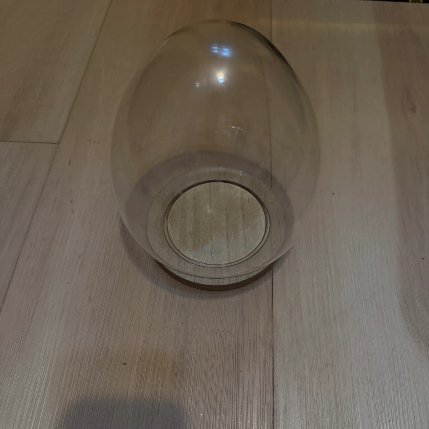 Glass Cloche Dome with Wood Base - photo 3