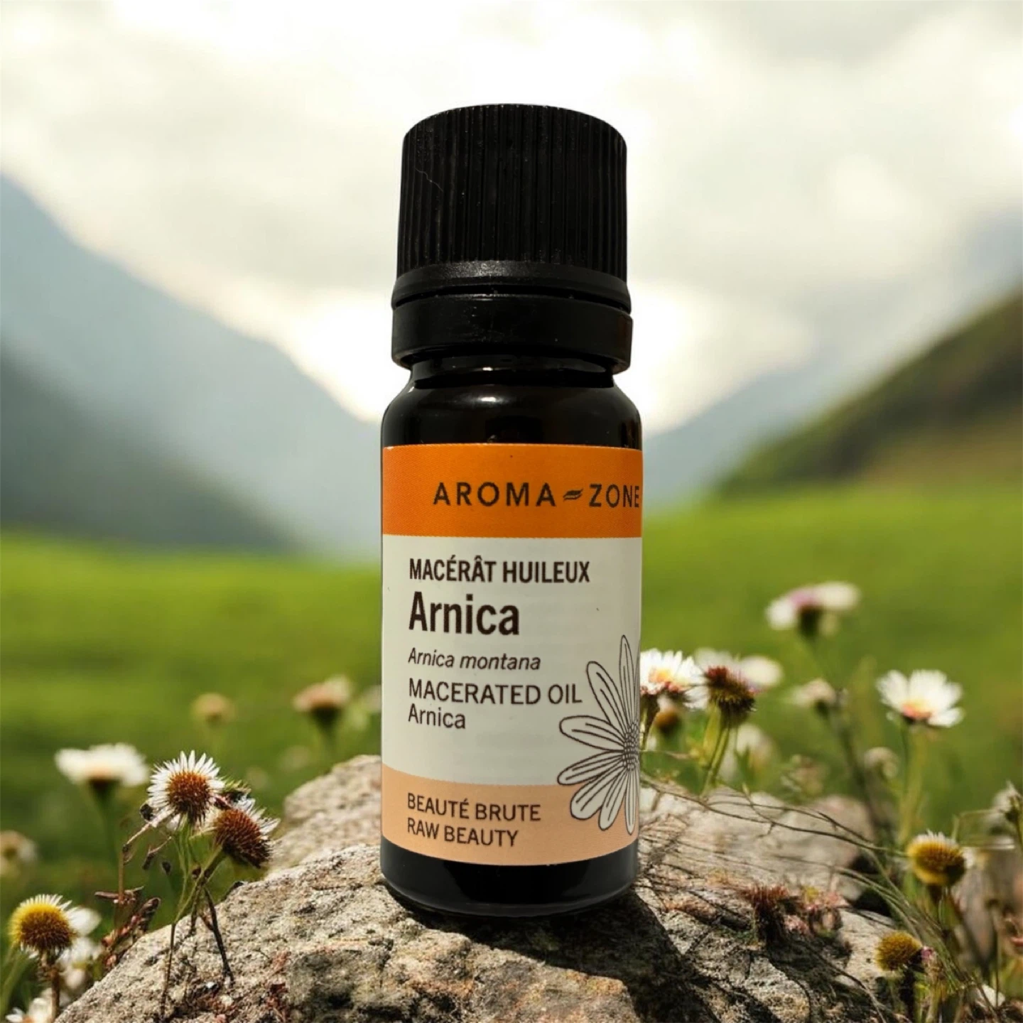 Organic Arnica Oil, France