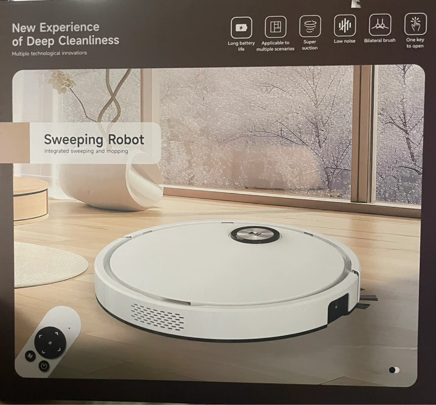 Sweeping Robot