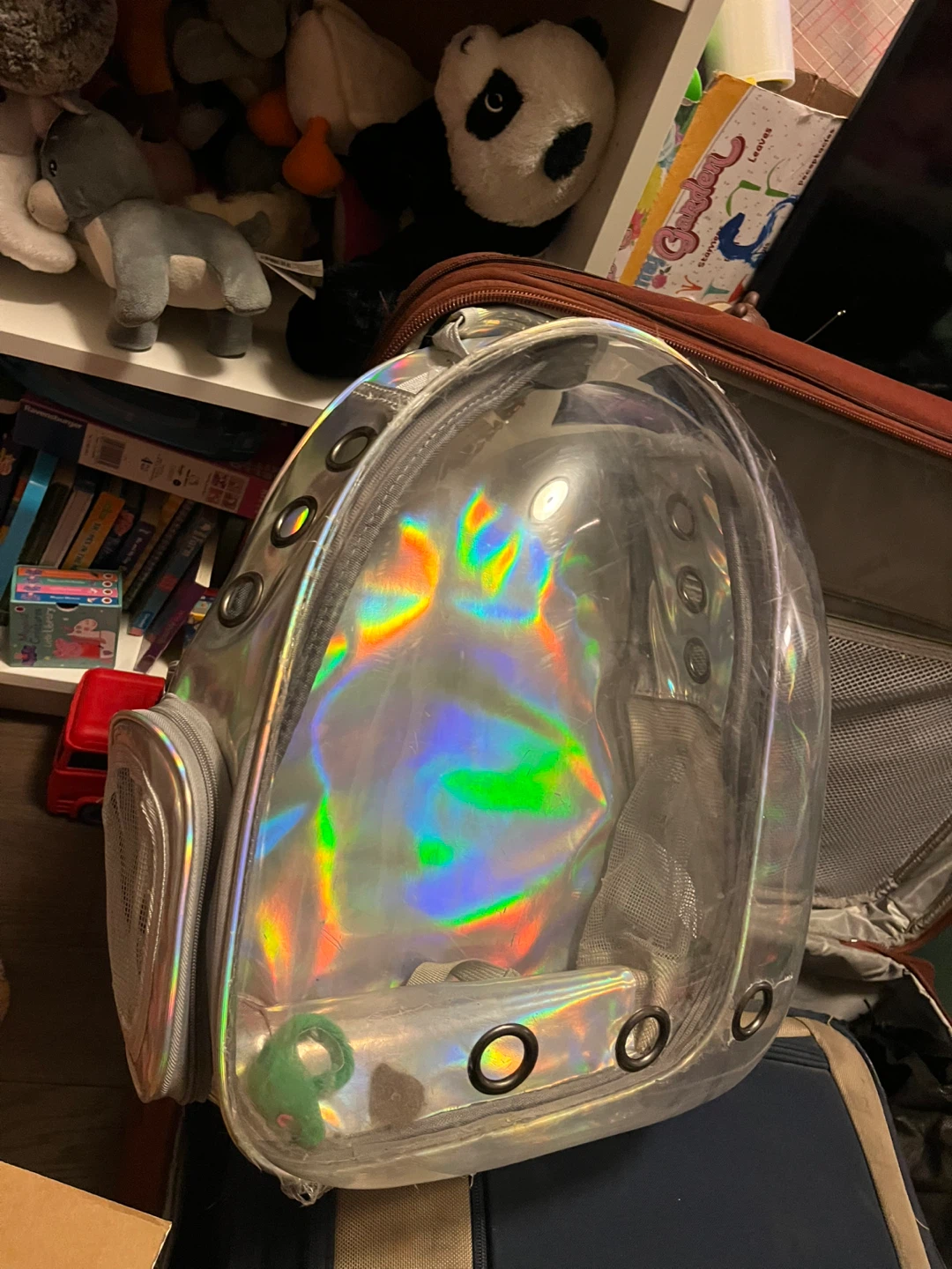 Holographic Clear Pet Carrier Backpack