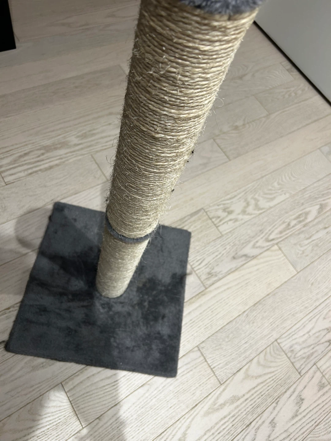 Cat Scratching Post - photo 4