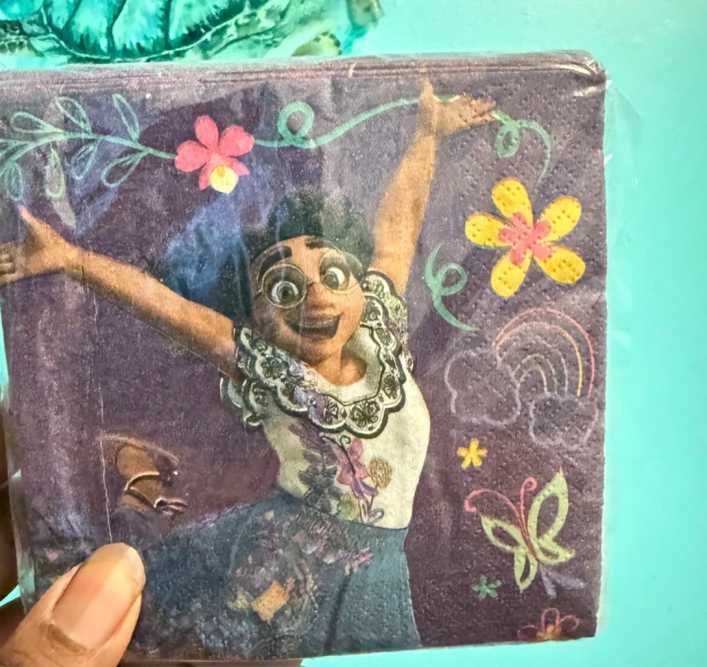 Disney Encanto Party Supplies Kit - photo 5