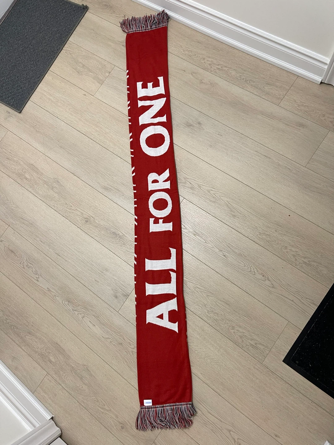 ALL FOR ONE Scarf 2024 Member - photo 3