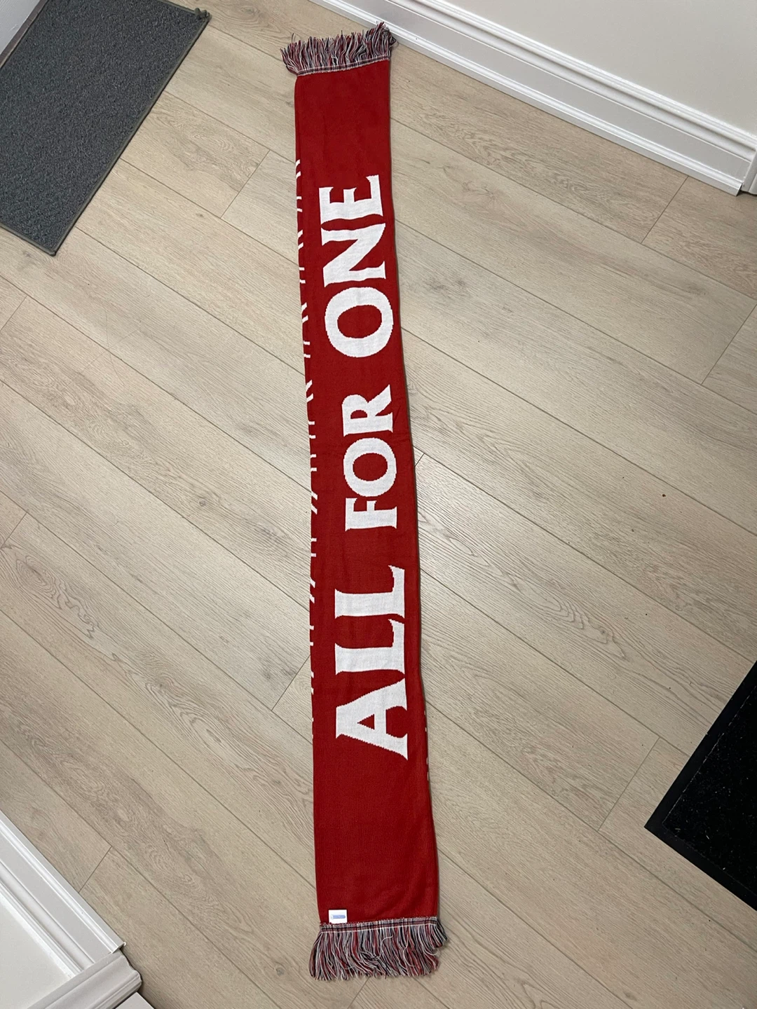 ALL FOR ONE Scarf 2024 Member - photo 2