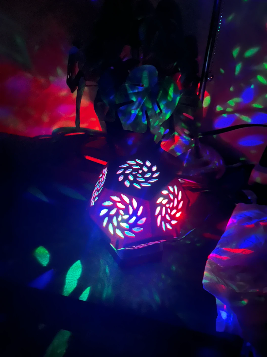Room2Room LED Projector Light