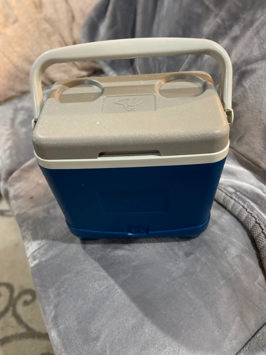 Igloo 8L Cooler