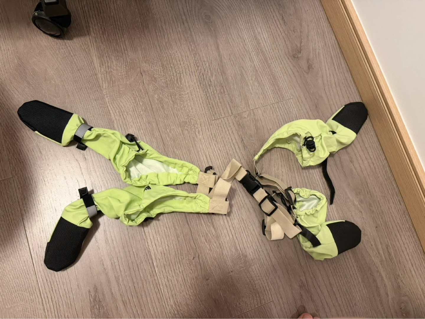 Adidas Dog Boots/Booties (medium)