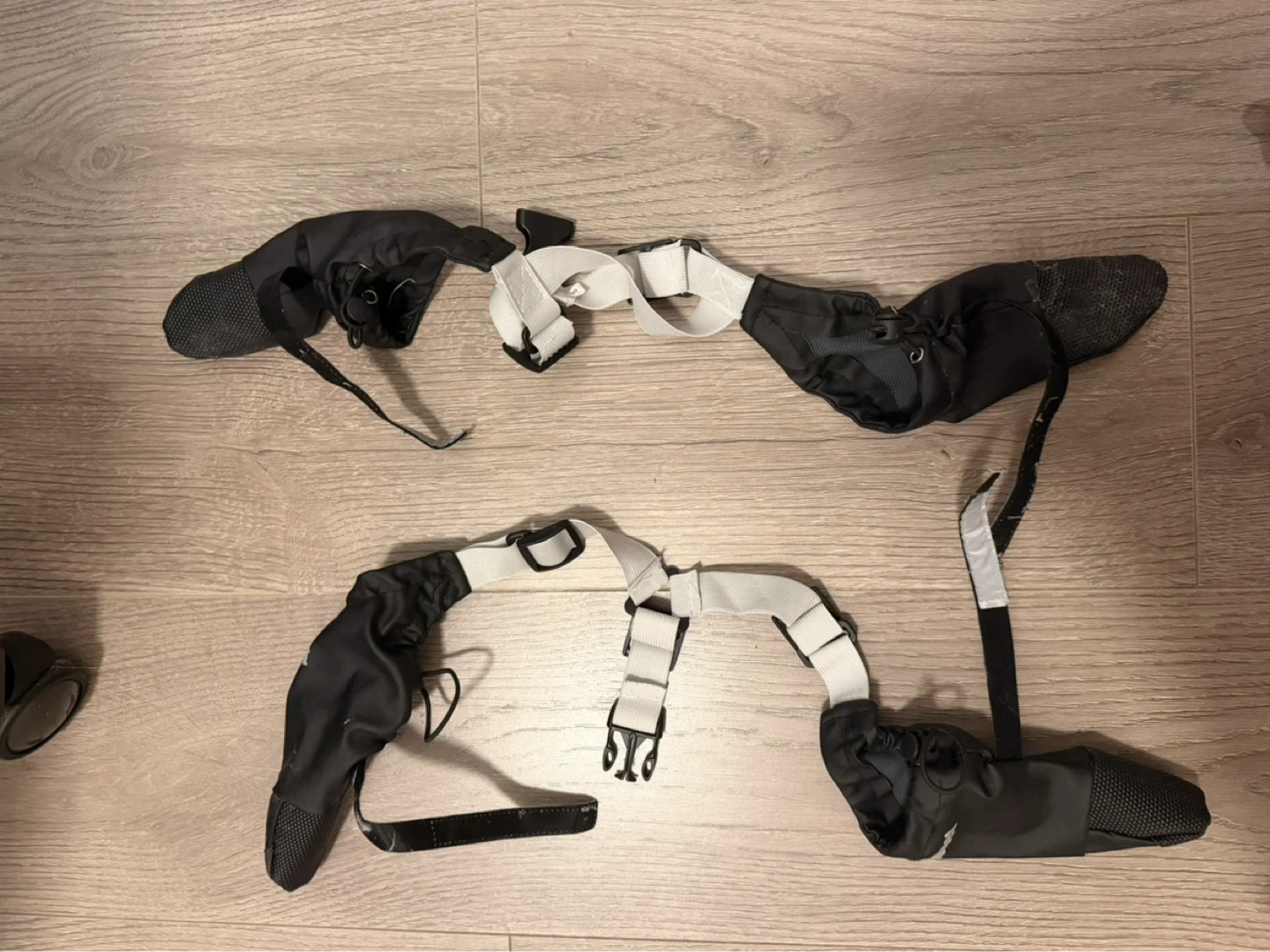 Dog boots and straps (small size)