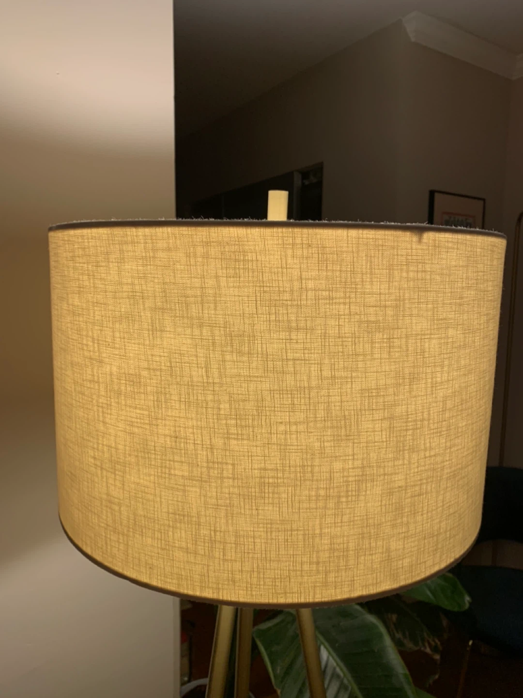 Ellis Tripod Floor Lamp - photo 2
