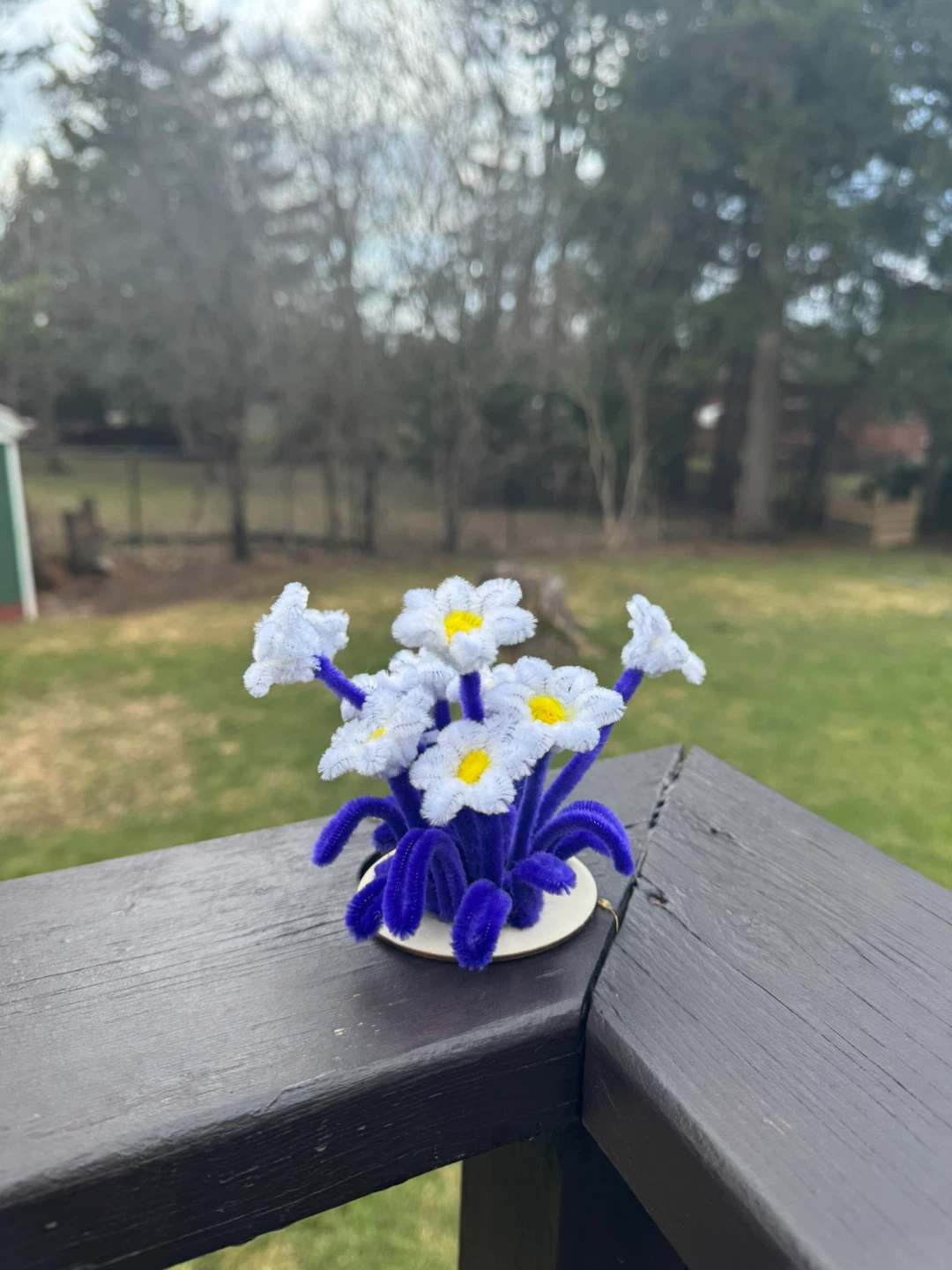 Pipe Cleaner Daisy Arrangement