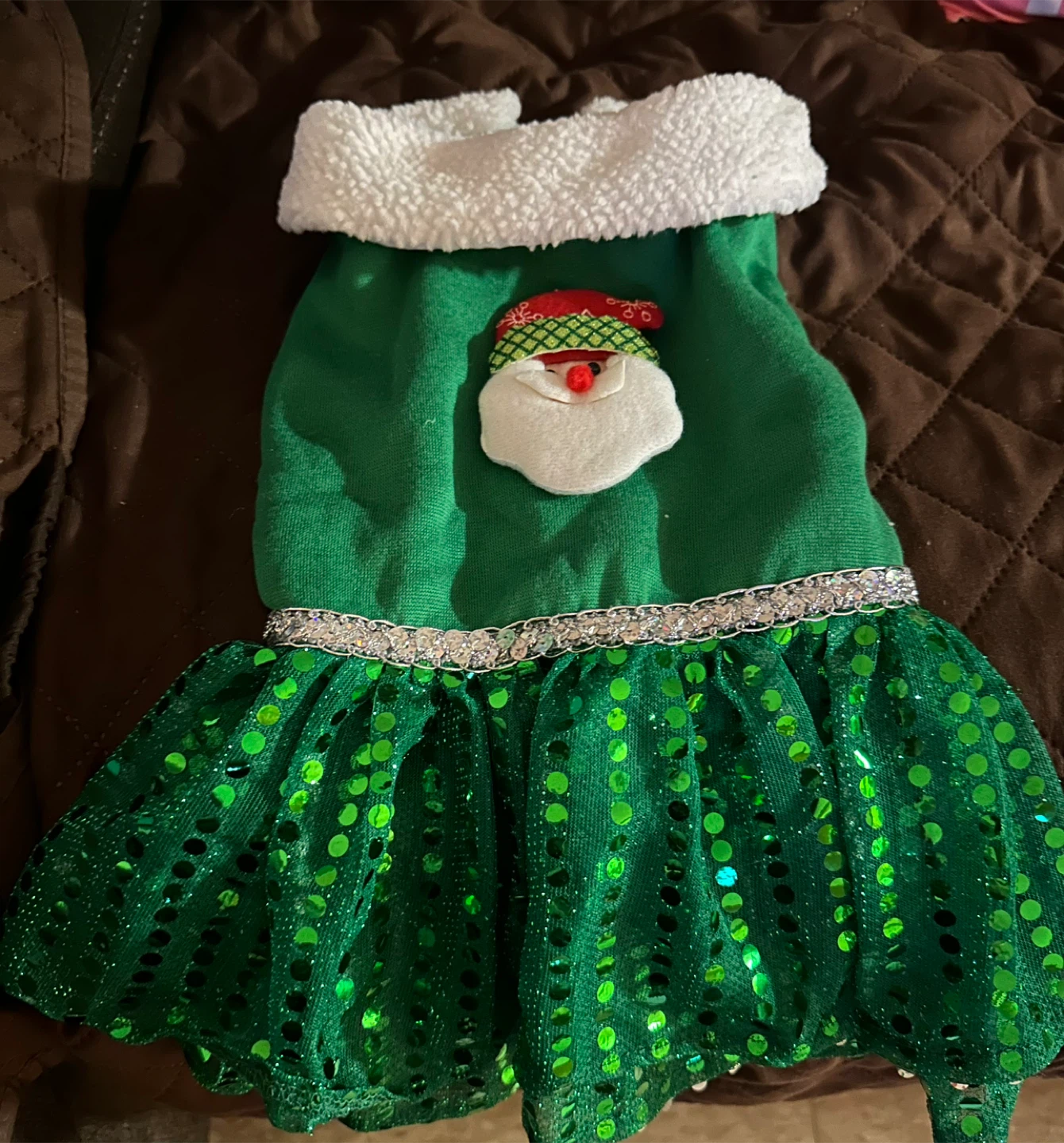 Green Santa Dog Dress with Sequins