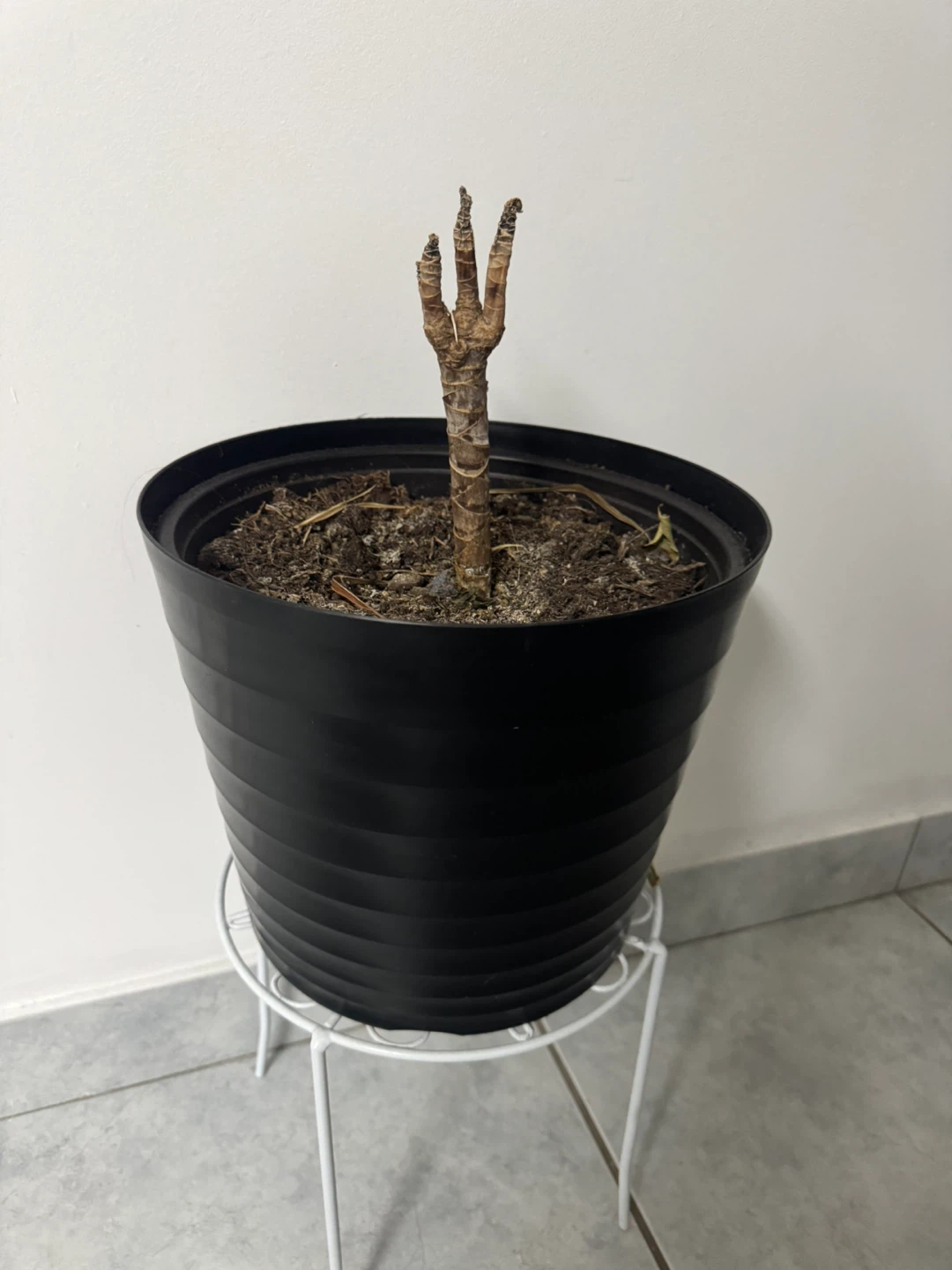2 Black Plant Pot - photo 2