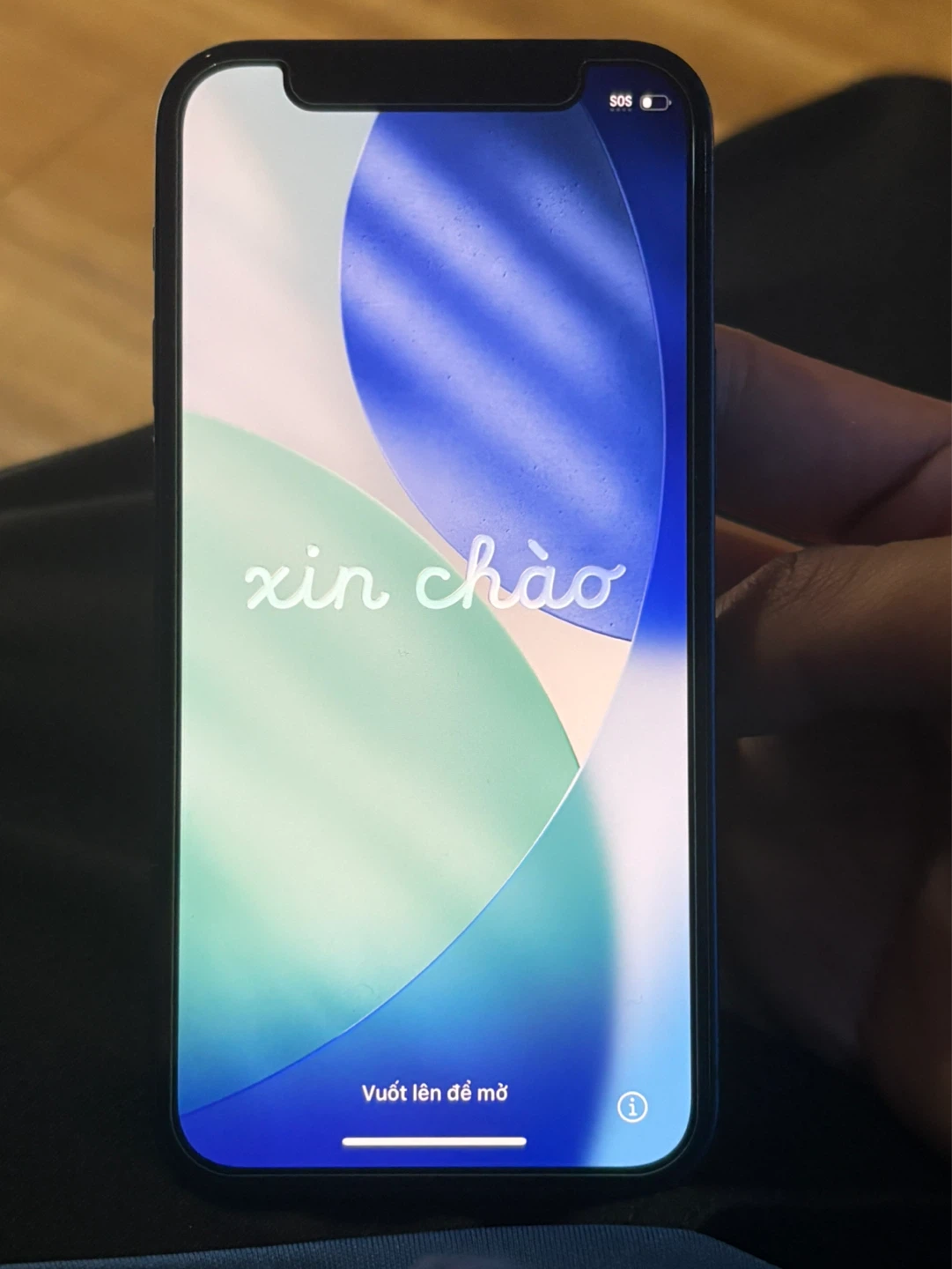 iPhone 12 Mini Blue