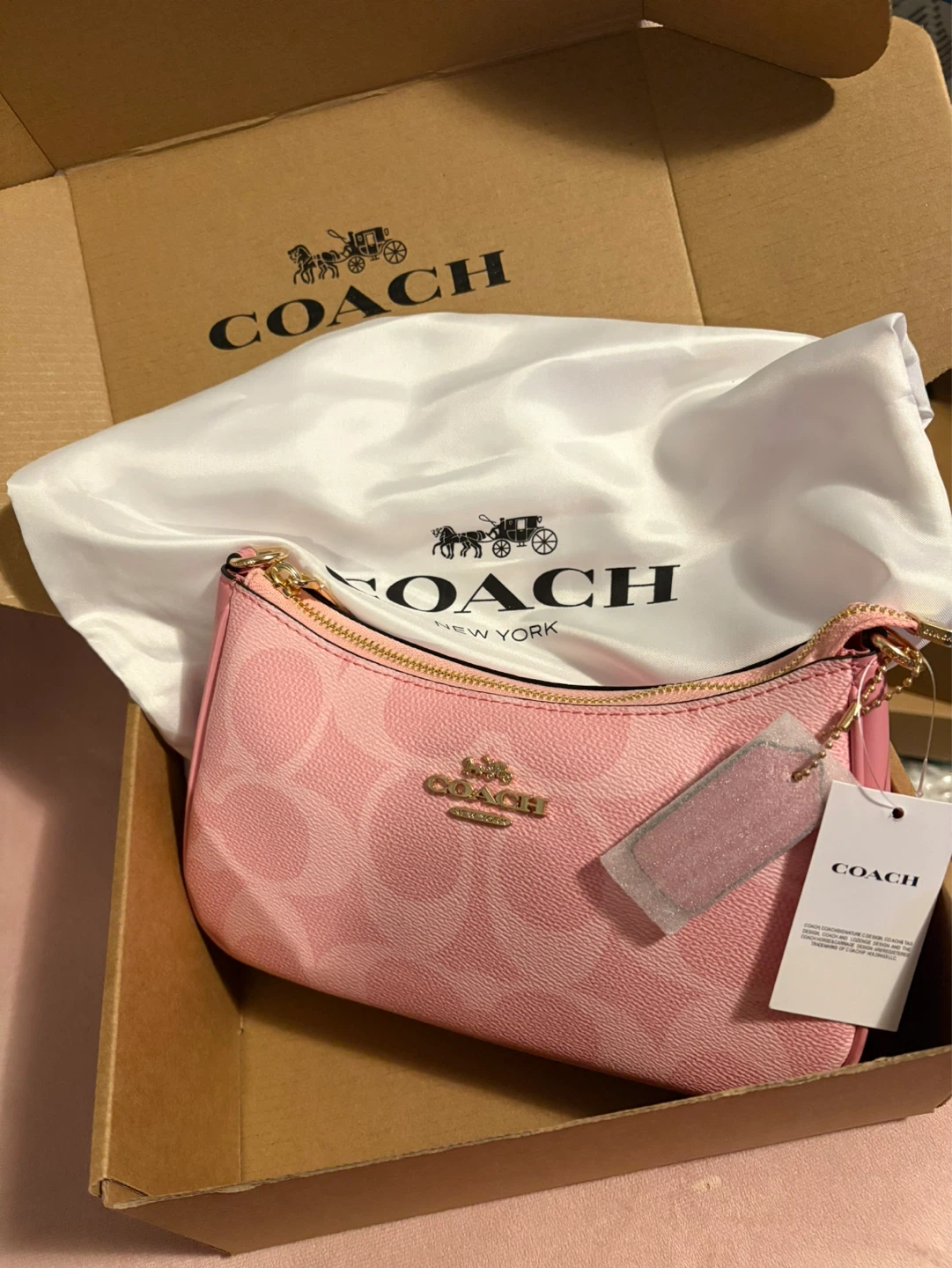 Coach Teri Crossbody Bag