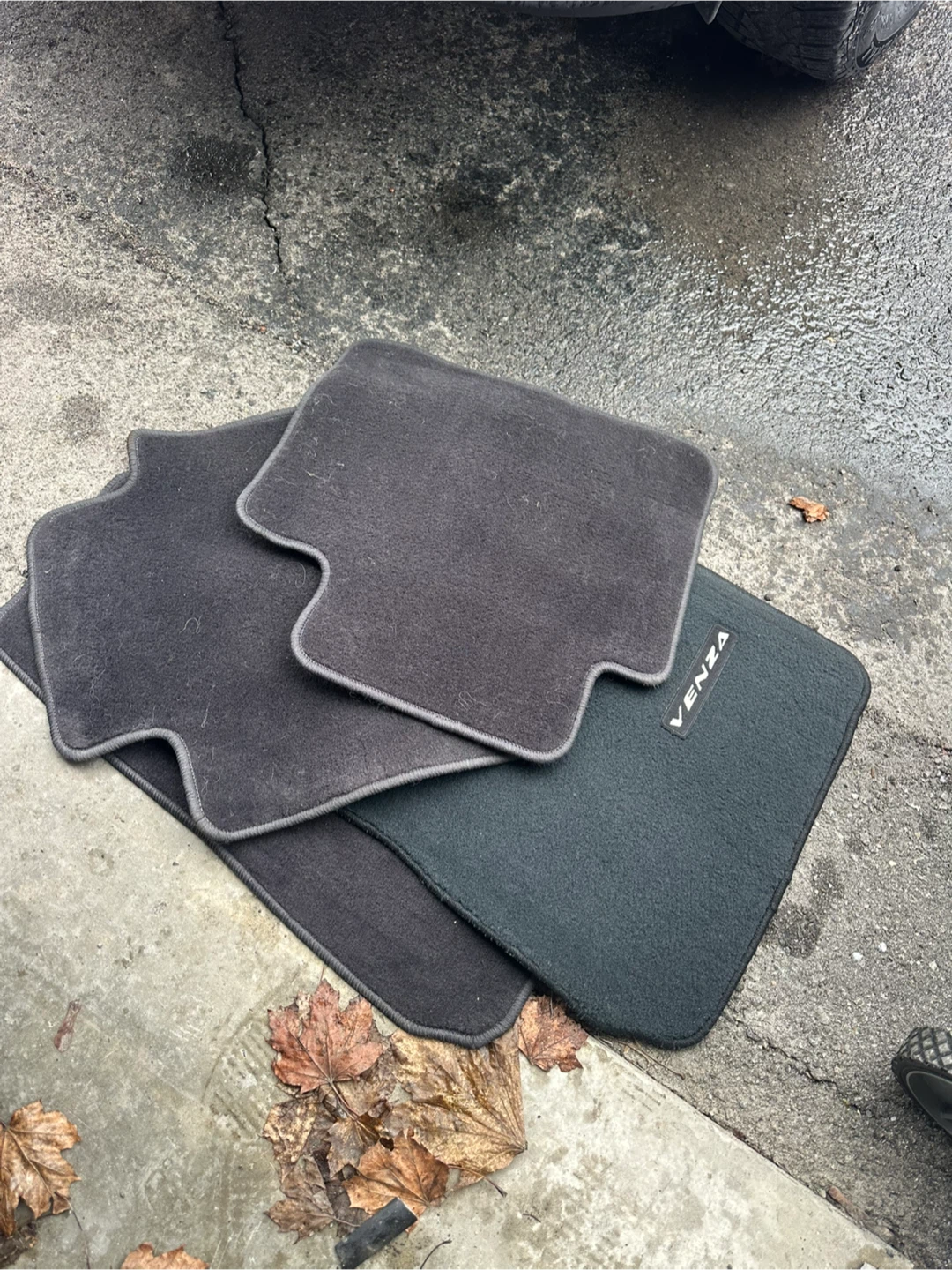 Toyota Venza Car Floor Mats Set
