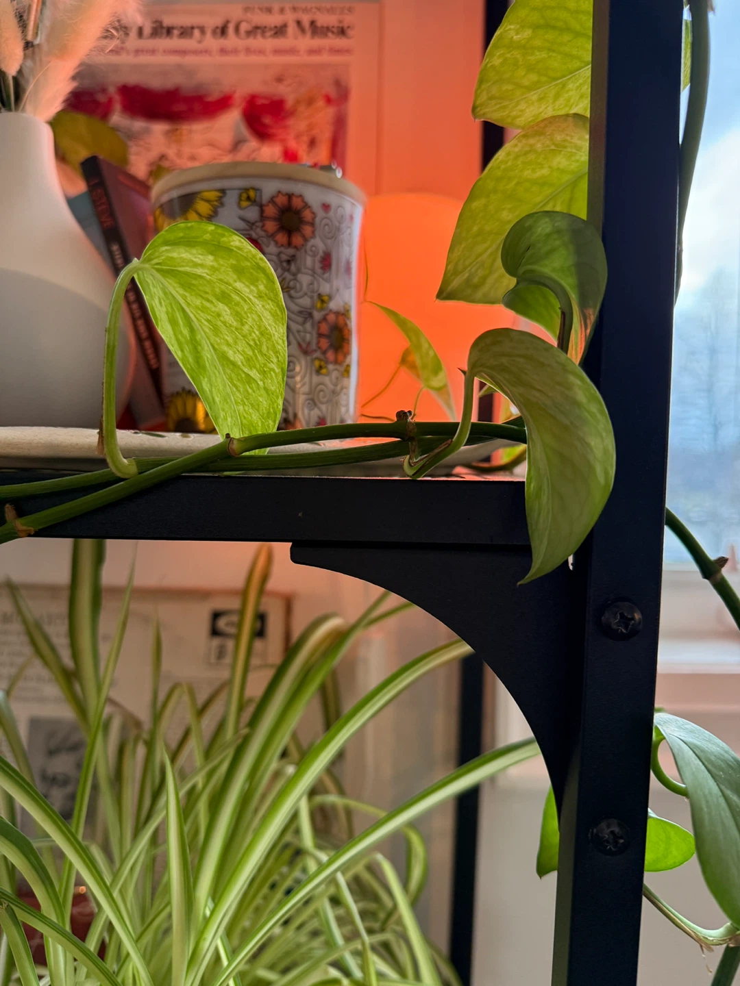 Shelf Unit - photo 5