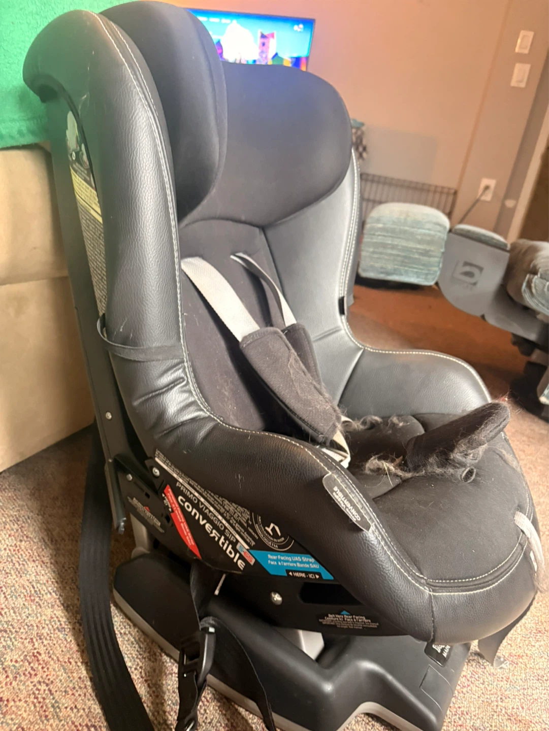 Peg Perego Primo Viaggio Convertible Car Seat - photo 2