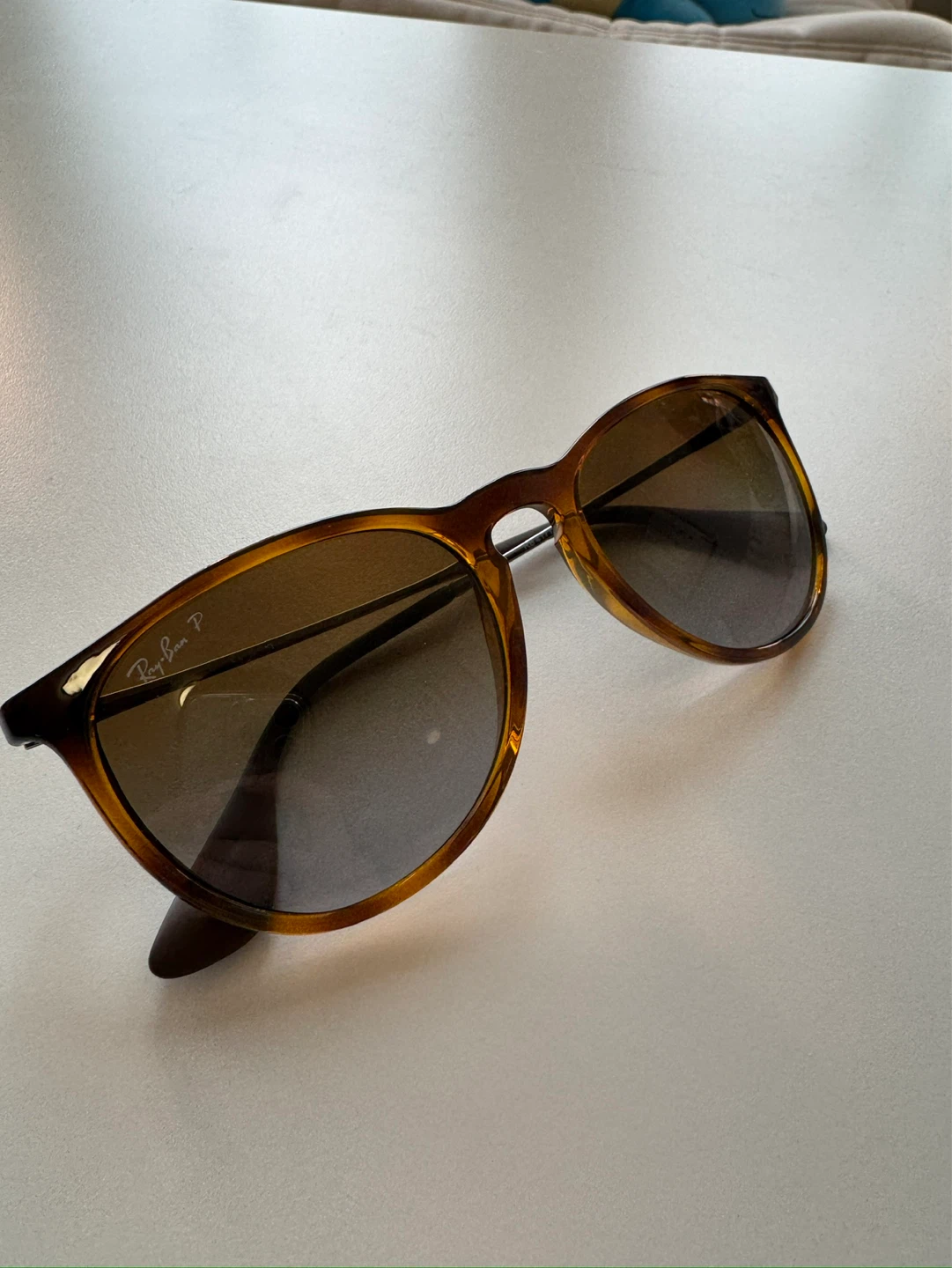 Rayban Erika Polarized Sunglasses