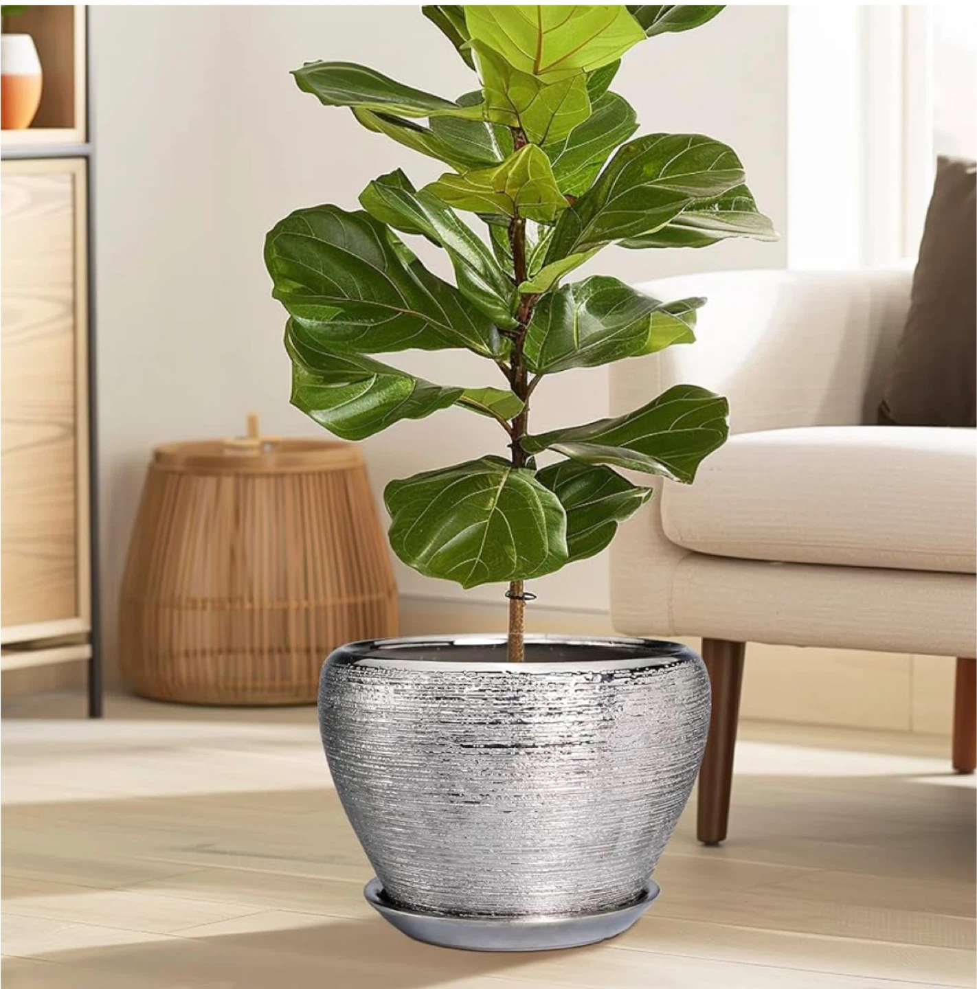 Silver Textured Ceramic Plant Pot with Saucer - photo 4