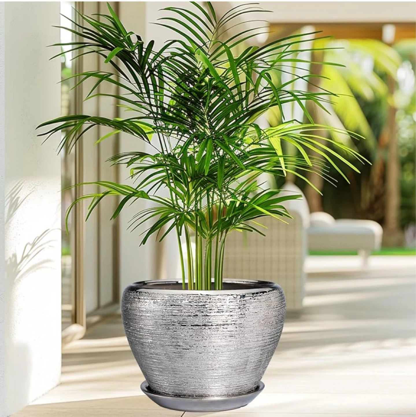 Silver Textured Ceramic Plant Pot with Saucer - photo 5