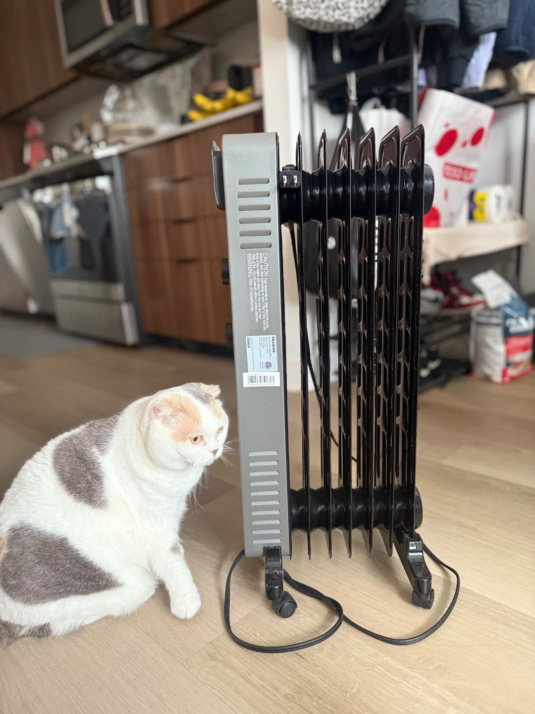 PELONIS Oil-Filled Radiator Heater