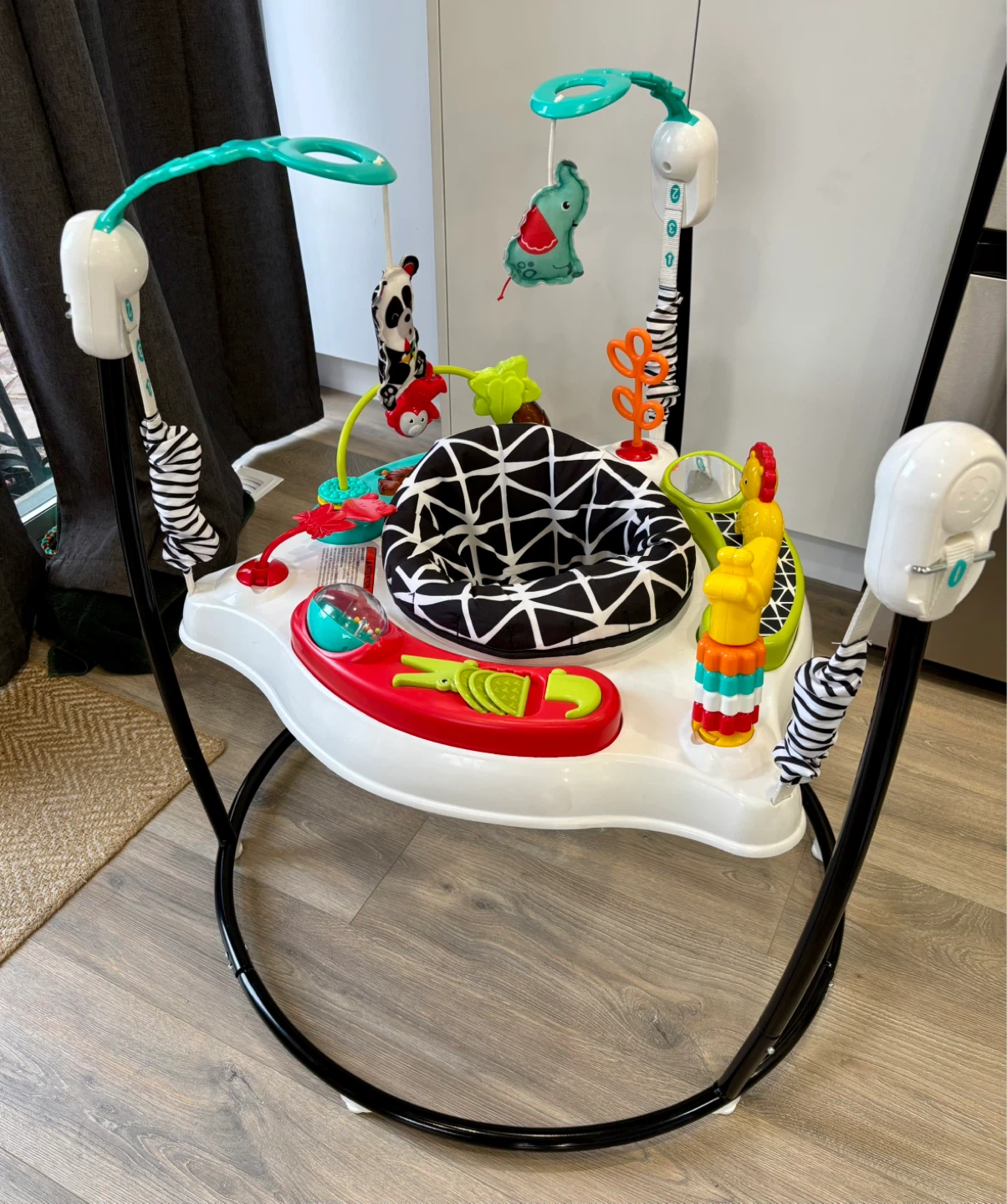 Baby Einstein Activity Jumper