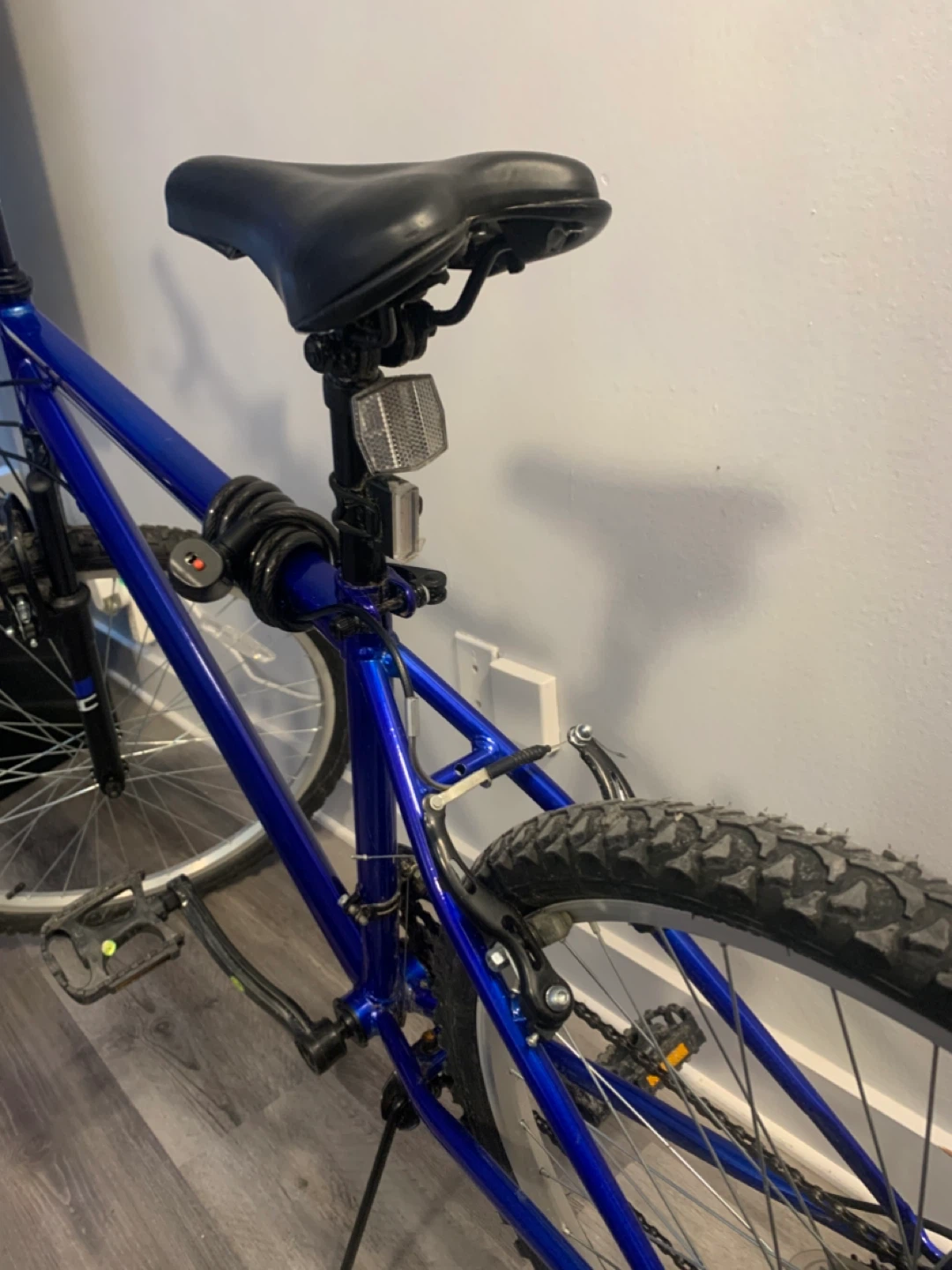 Blue Mountain Bicycle - photo 2