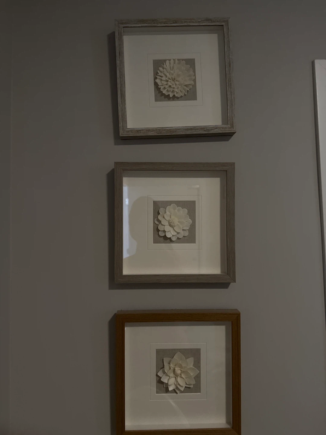 Framed White Flower Wall Art