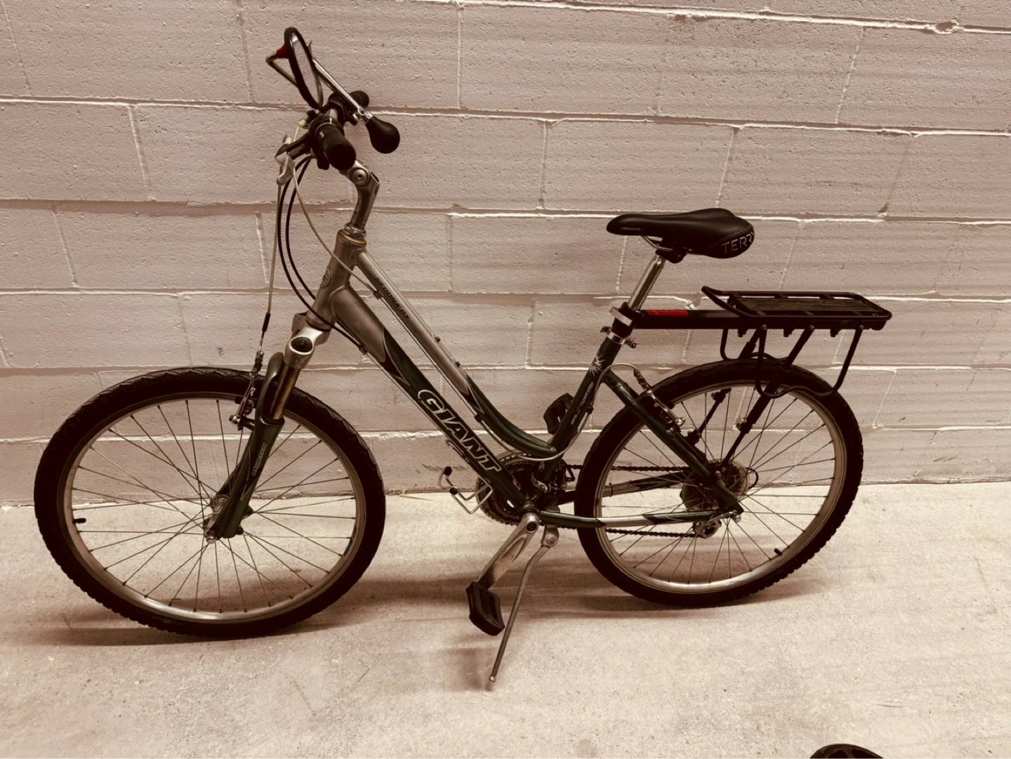 Giant Mountain Bike