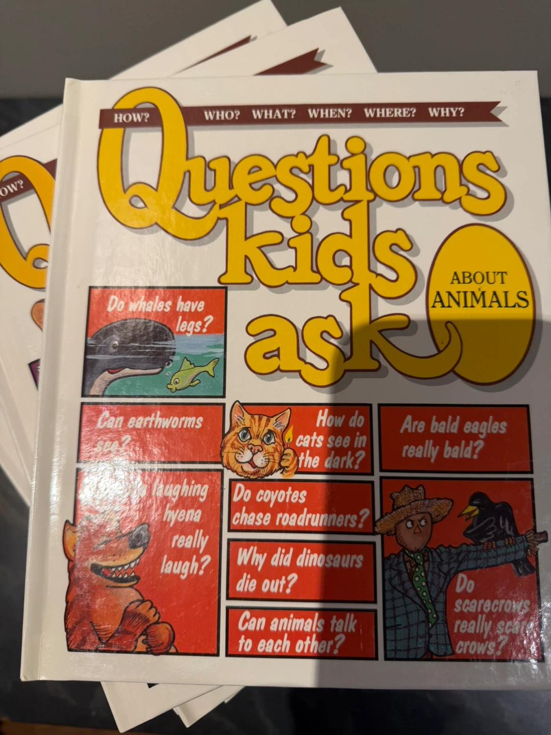 Questions Kids Ask Book Set