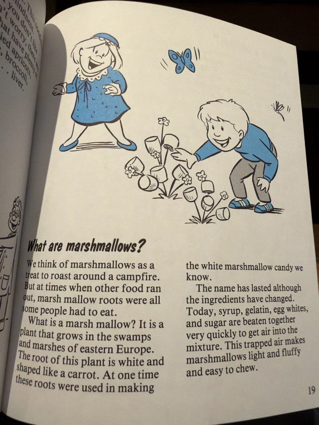 Questions Kids Ask Book Set - photo 3