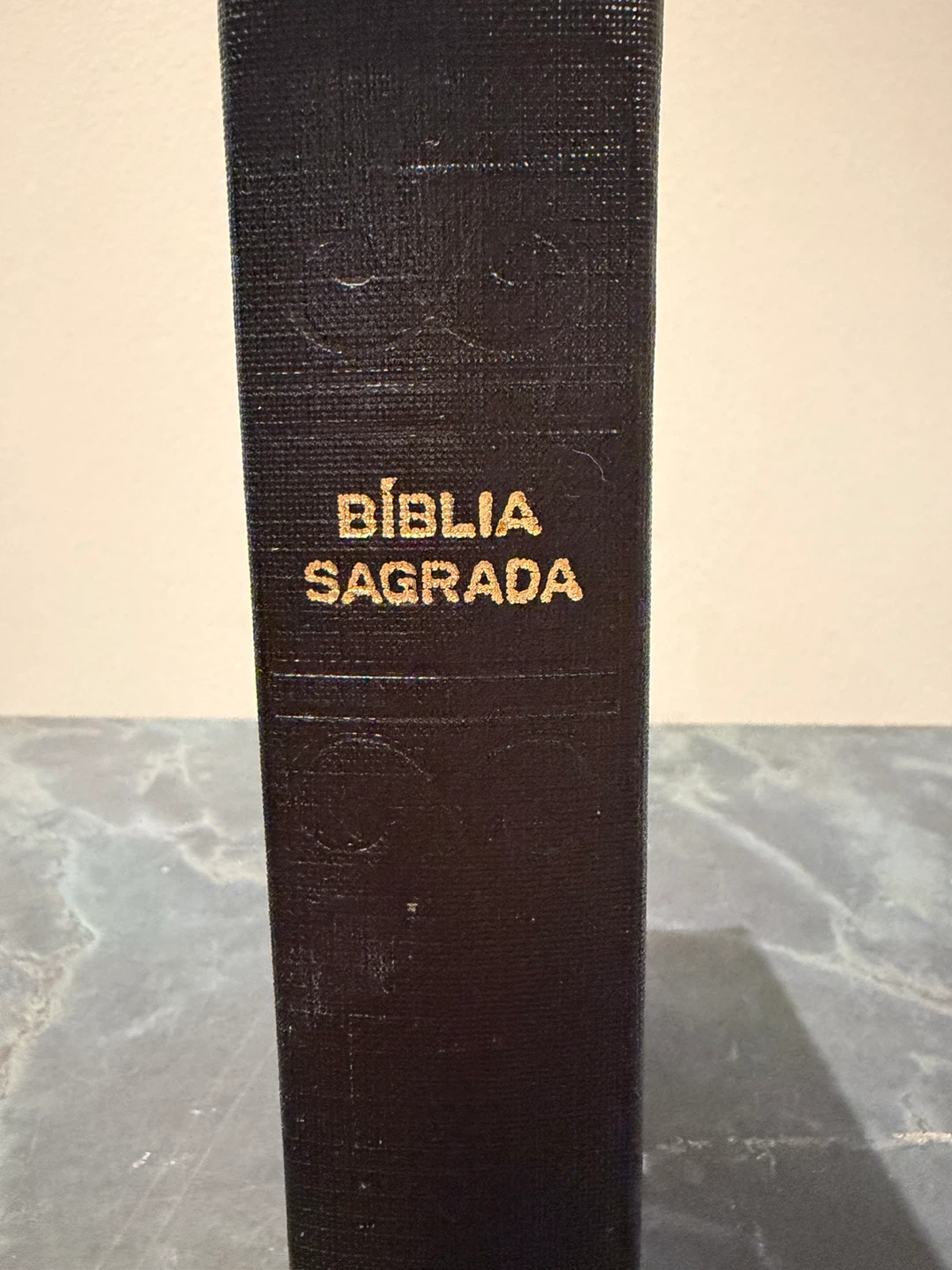 Vintage Portuguese Bible 1977