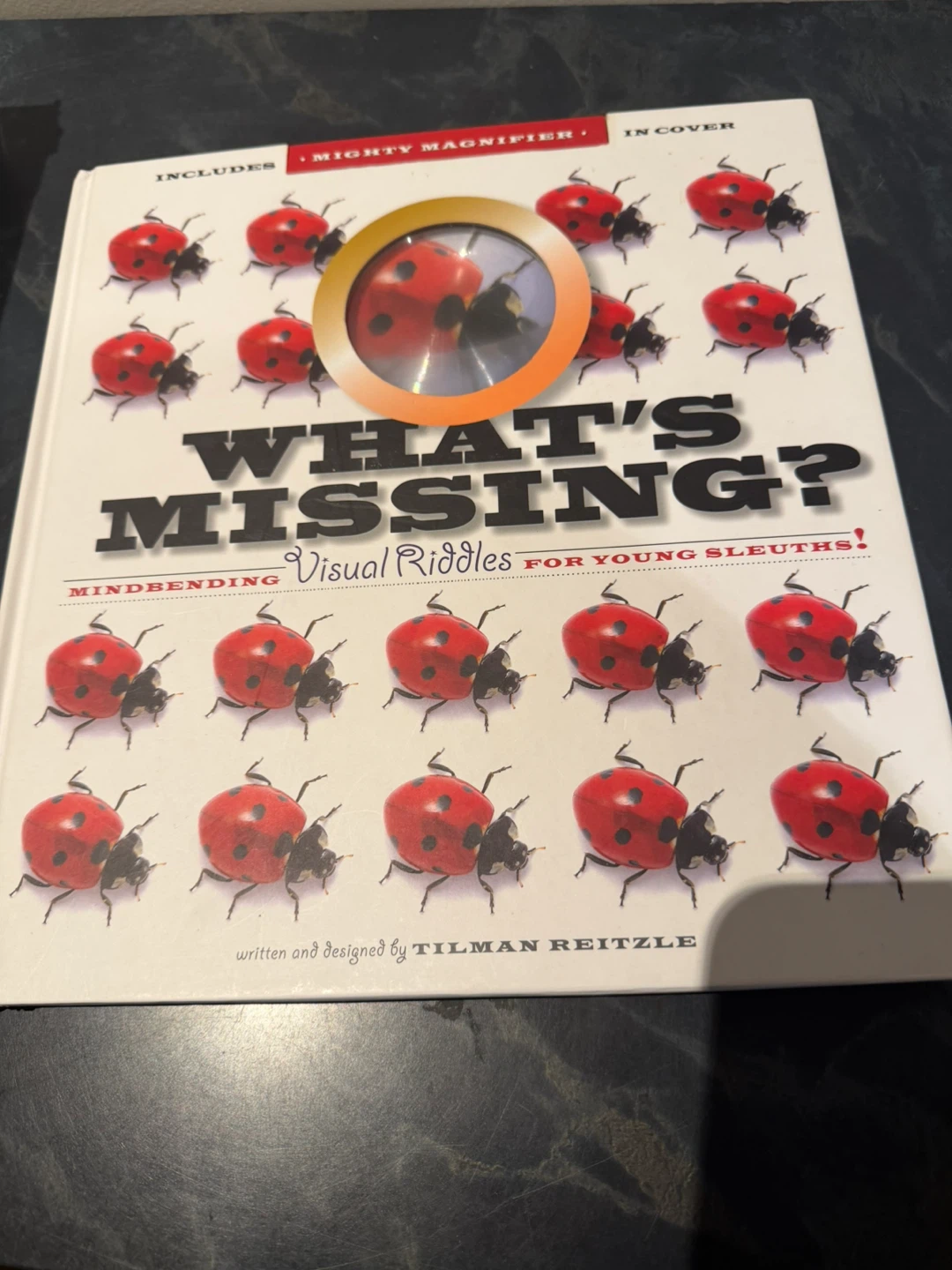 What's Missing? Book with Magnifier