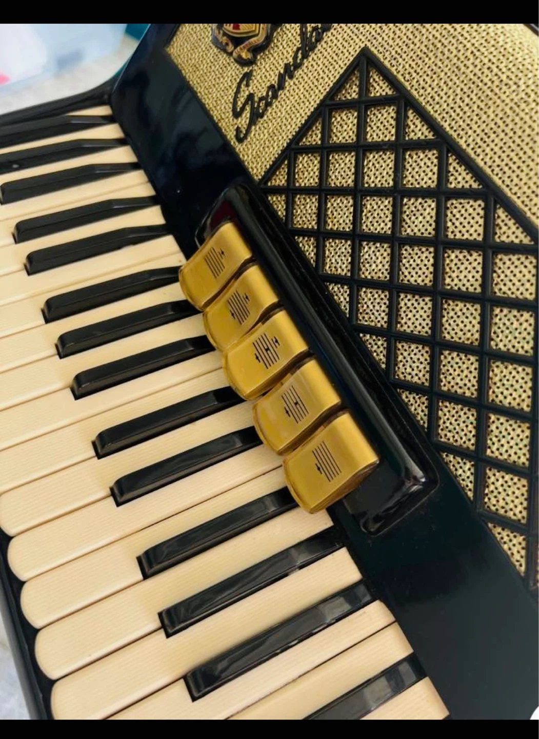 Scandalli Accordion Black & Gold Edition - photo 2