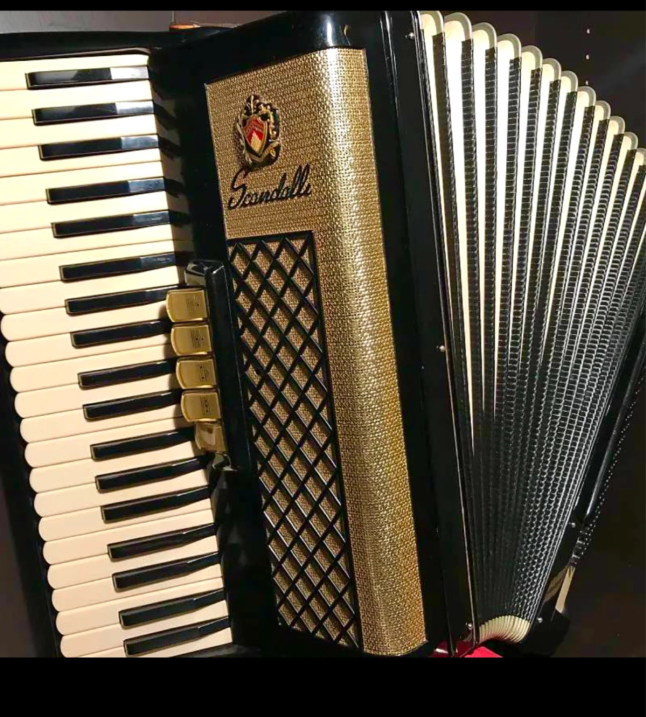 Scandalli Accordion Black & Gold Edition - photo 3