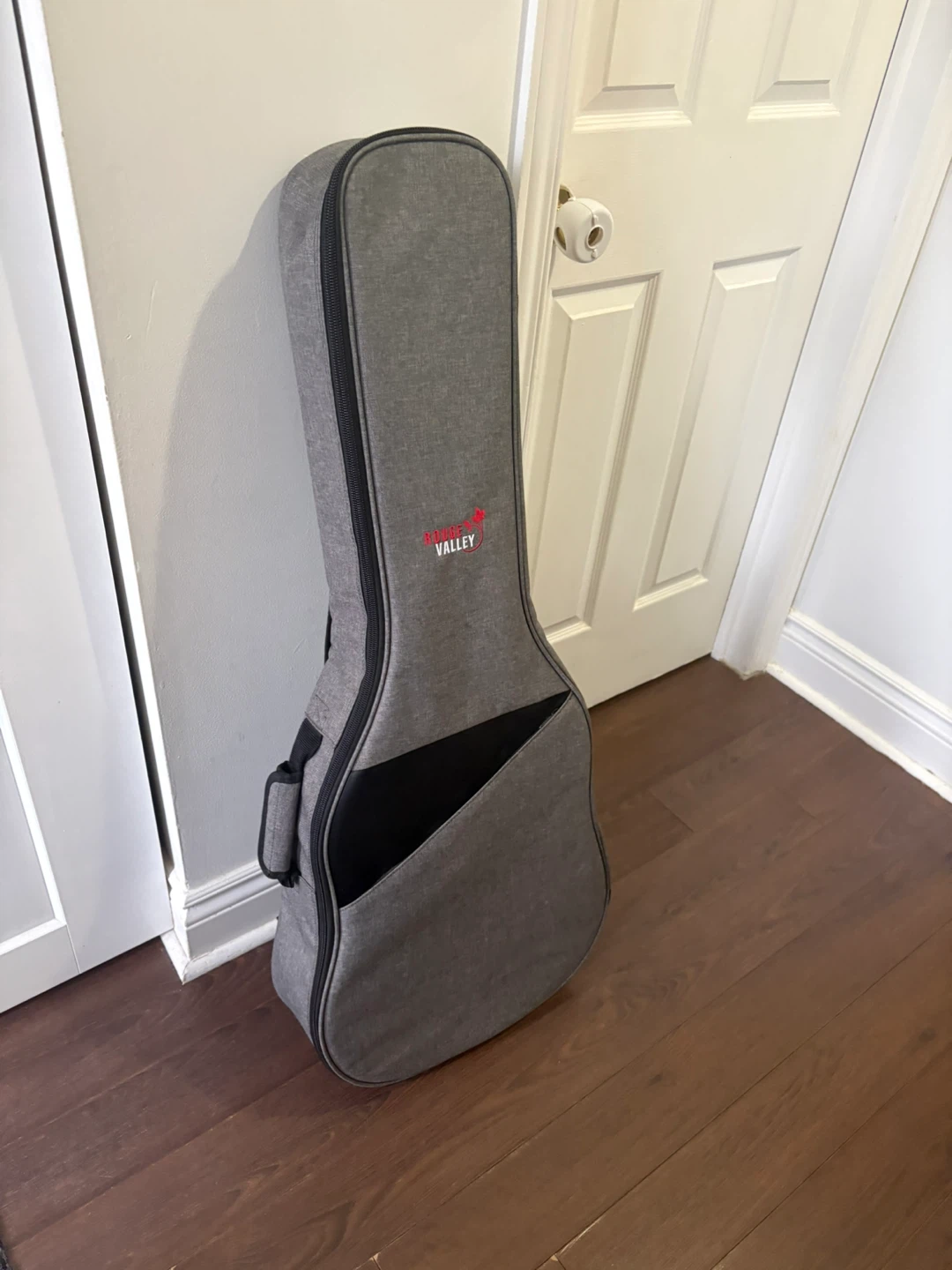 Guitar Bag with Picks