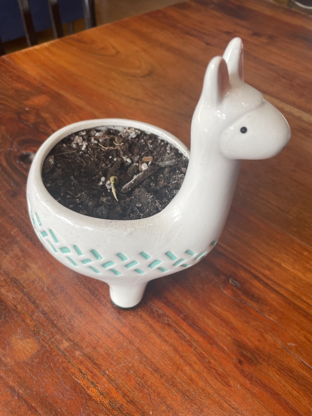 White Llama Ceramic Planter Pot