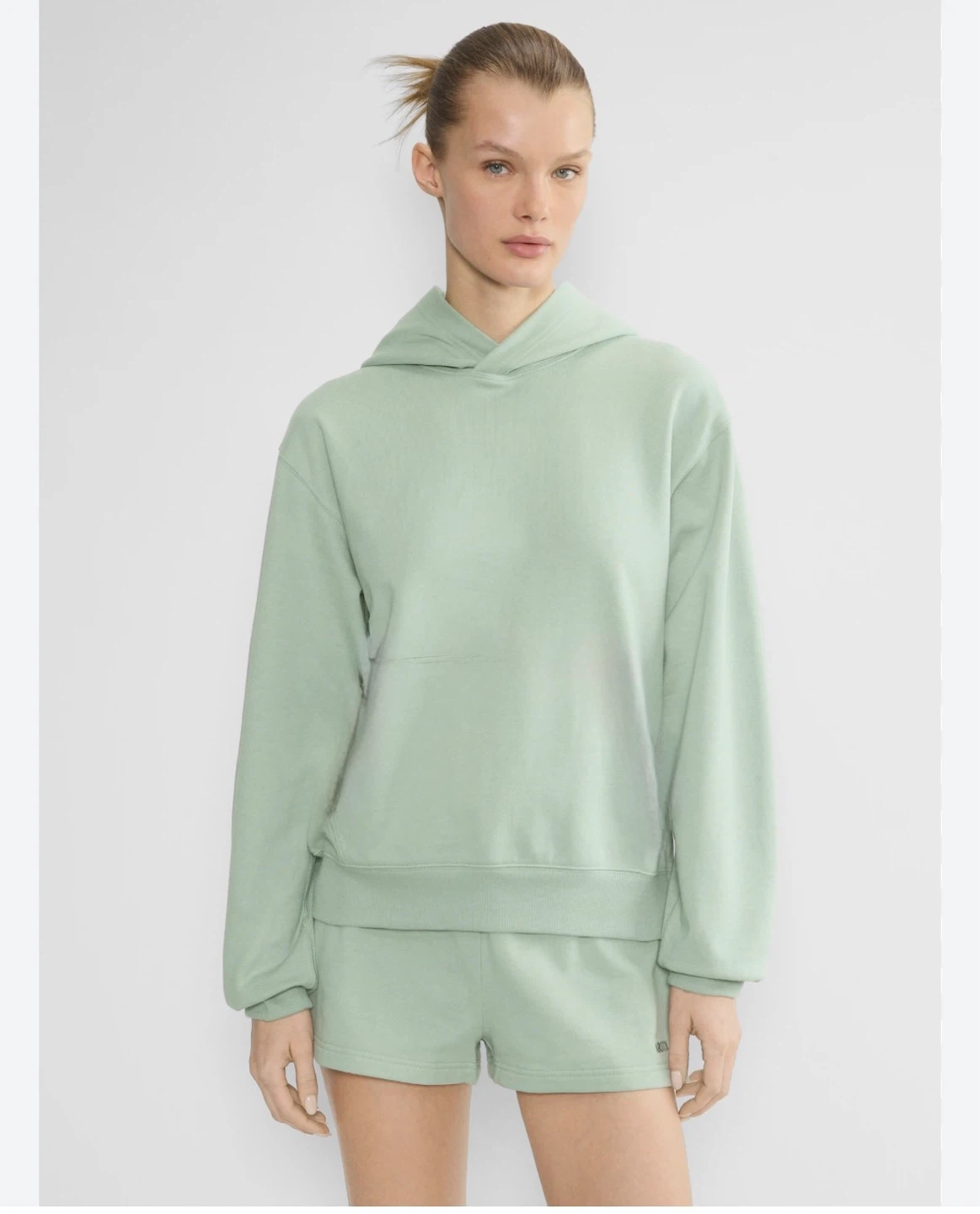 Seasons Hoodie - Light Green - Size M