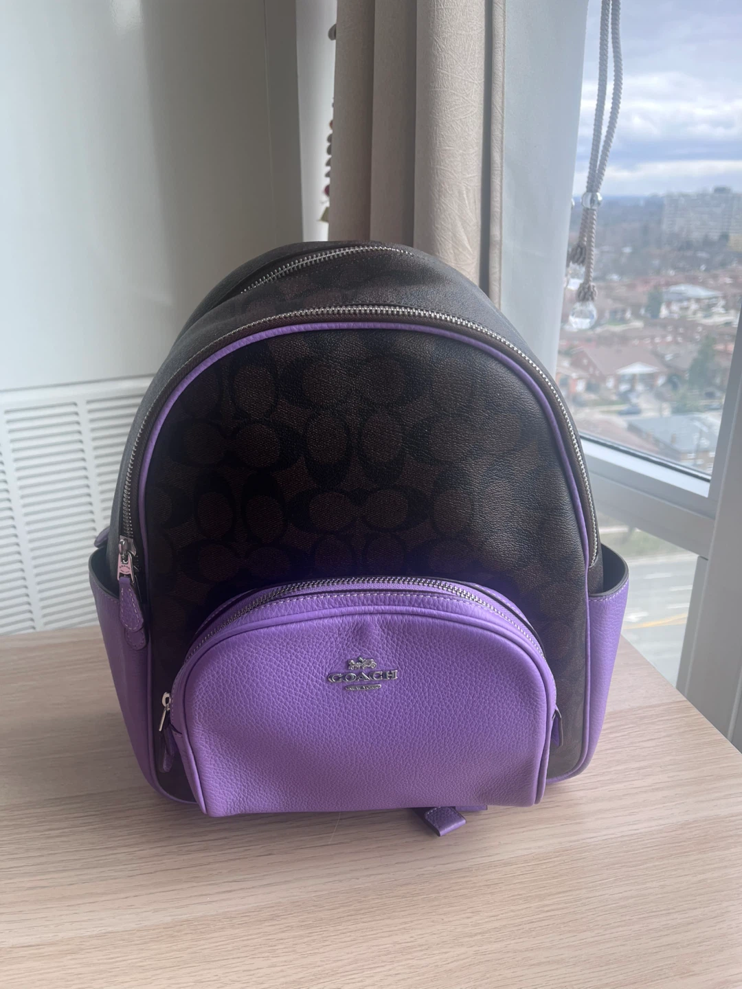 Coach Signature Backpack - Brown/Purple
