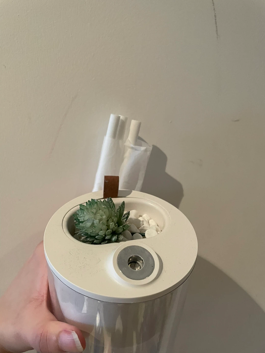 Humidifier with fake succulent decoration