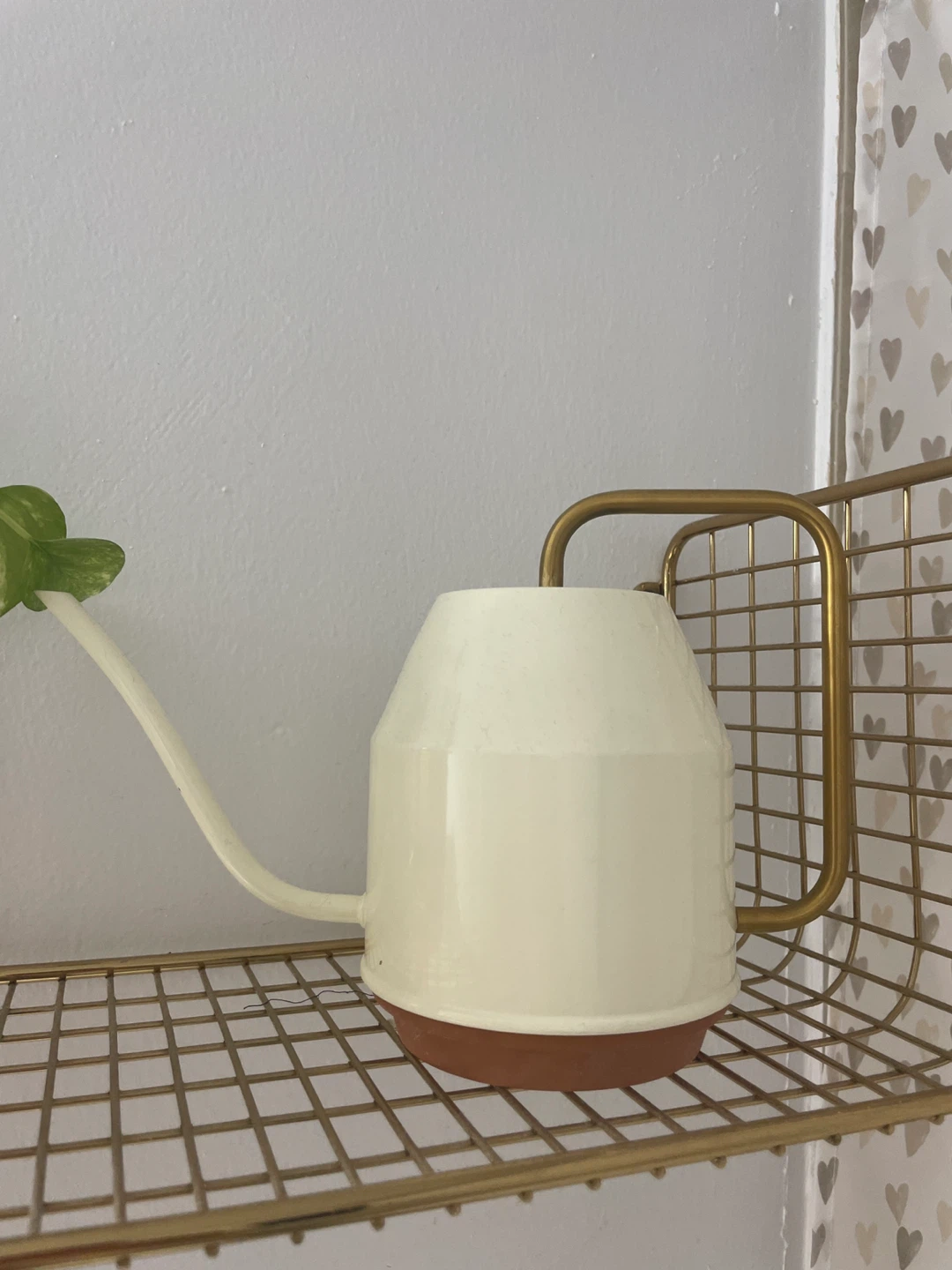 Cream Watering Can with Gold Handle