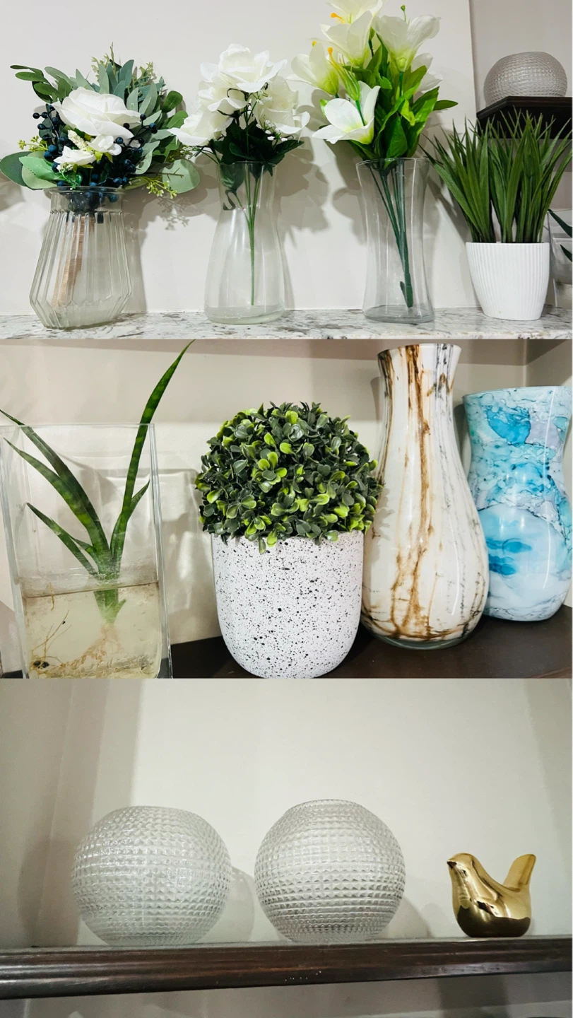 Assorted Decorative Vases and Potted Plants