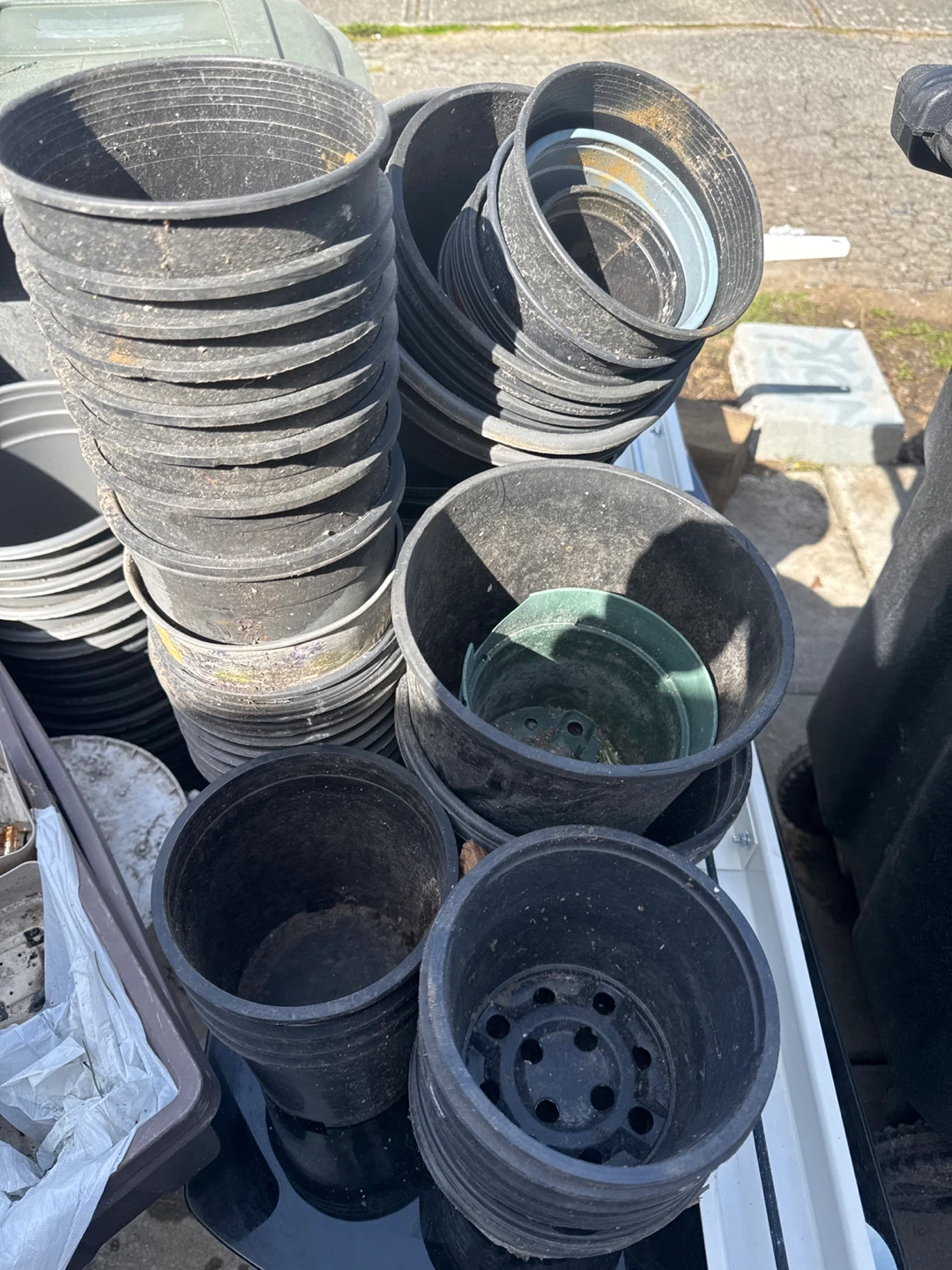 Assorted Plastic Plant Pots