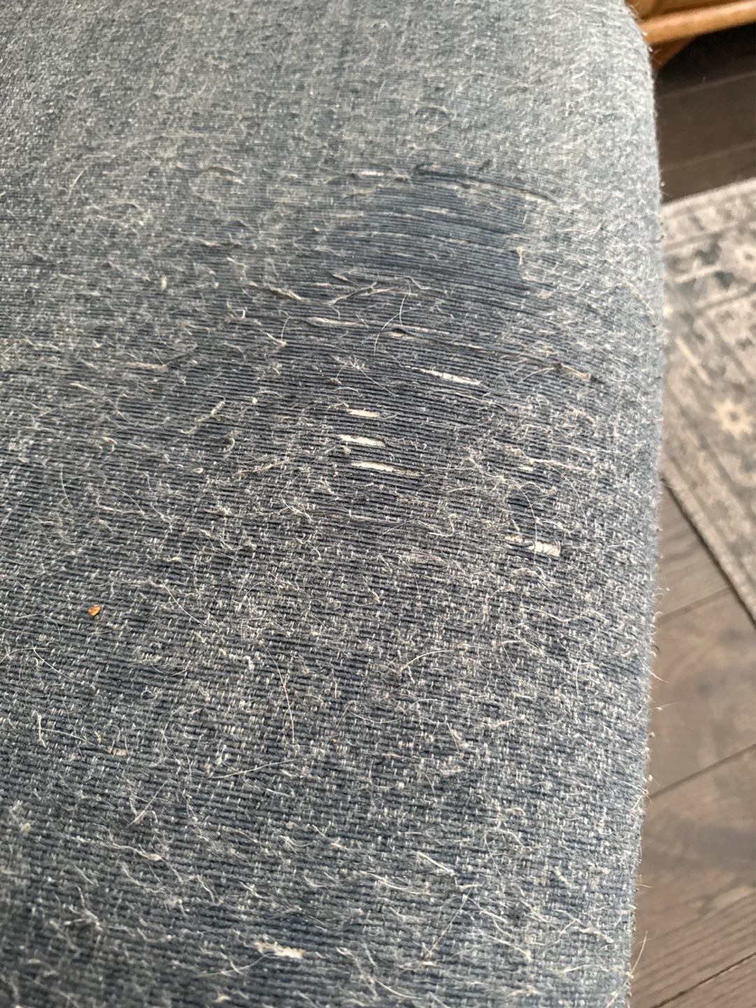 AS IS Blue/Grey Fabric Armchair- Urban Barn - photo 3