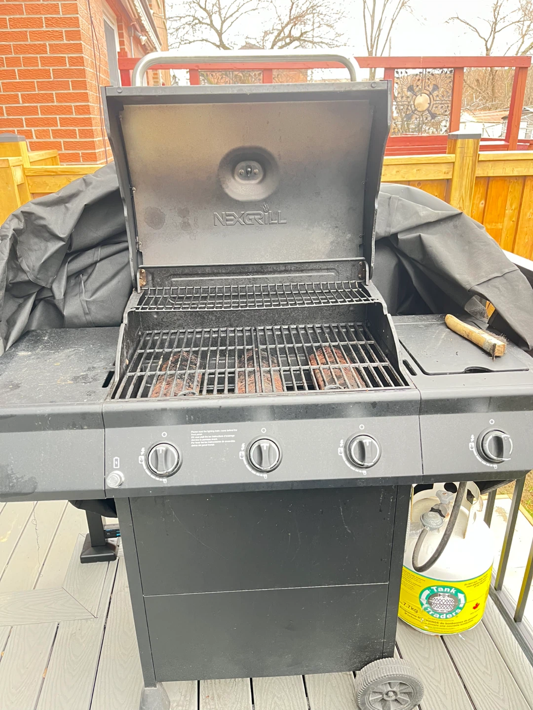 BBQ with Tank - photo 2
